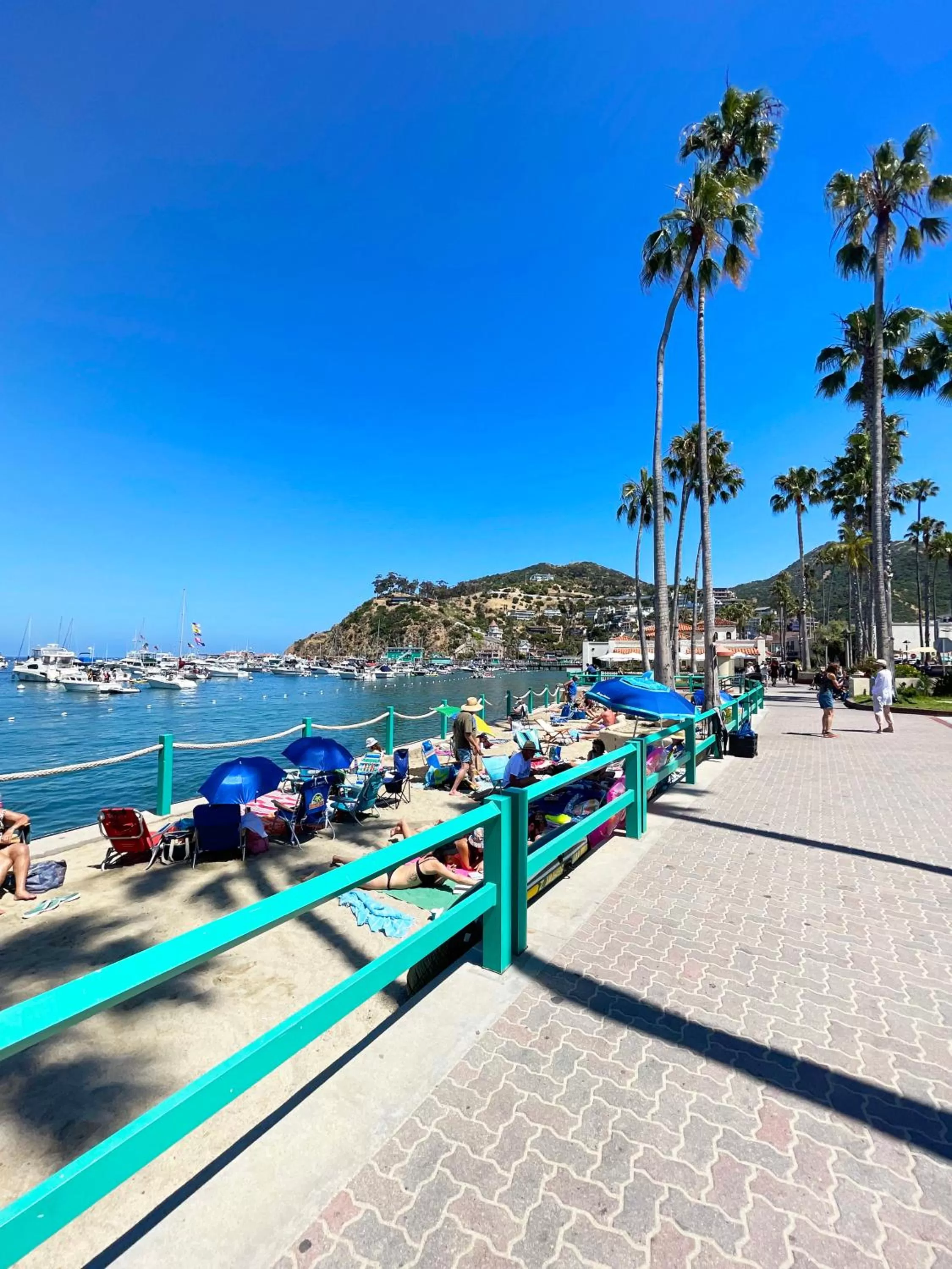 Catalina Courtyard Suites