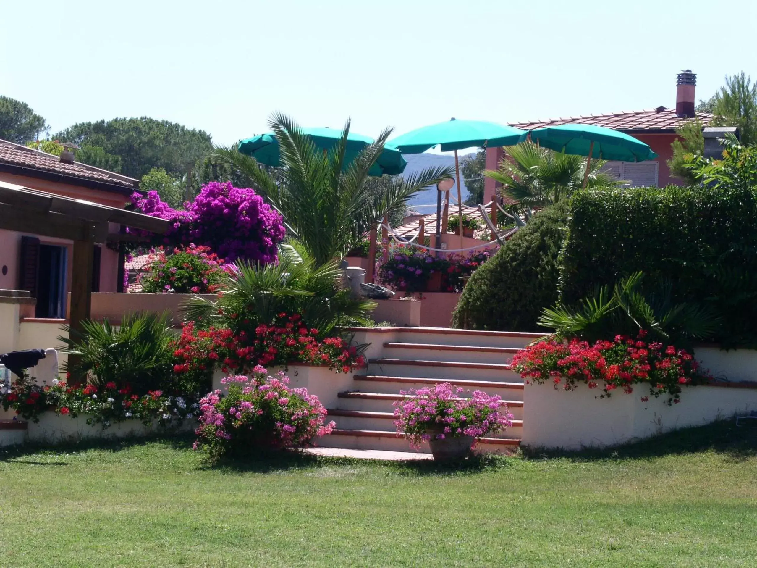 Garden in Belvedere Residenza Mediterranea