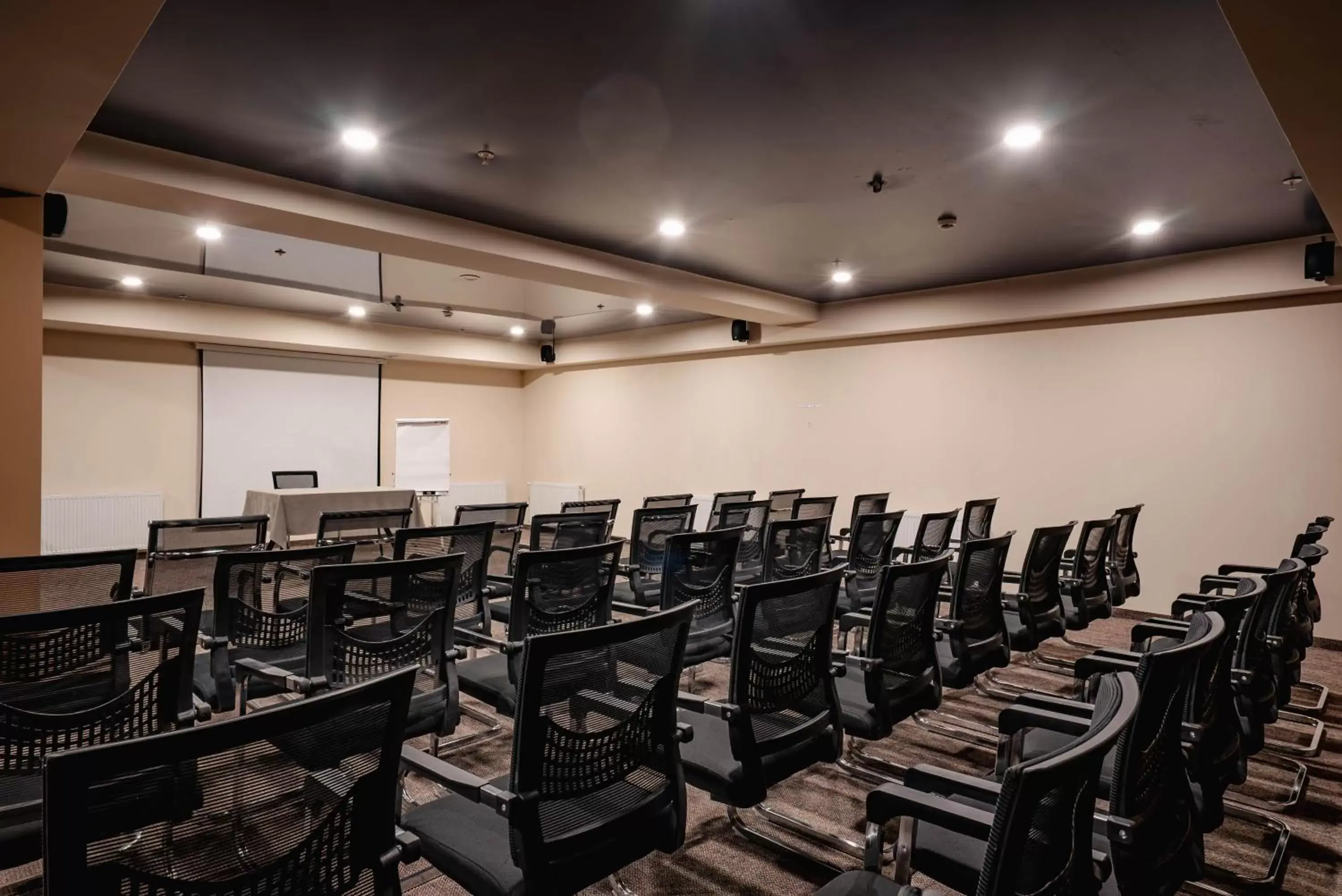 Meeting/conference room in Gudauri Inn