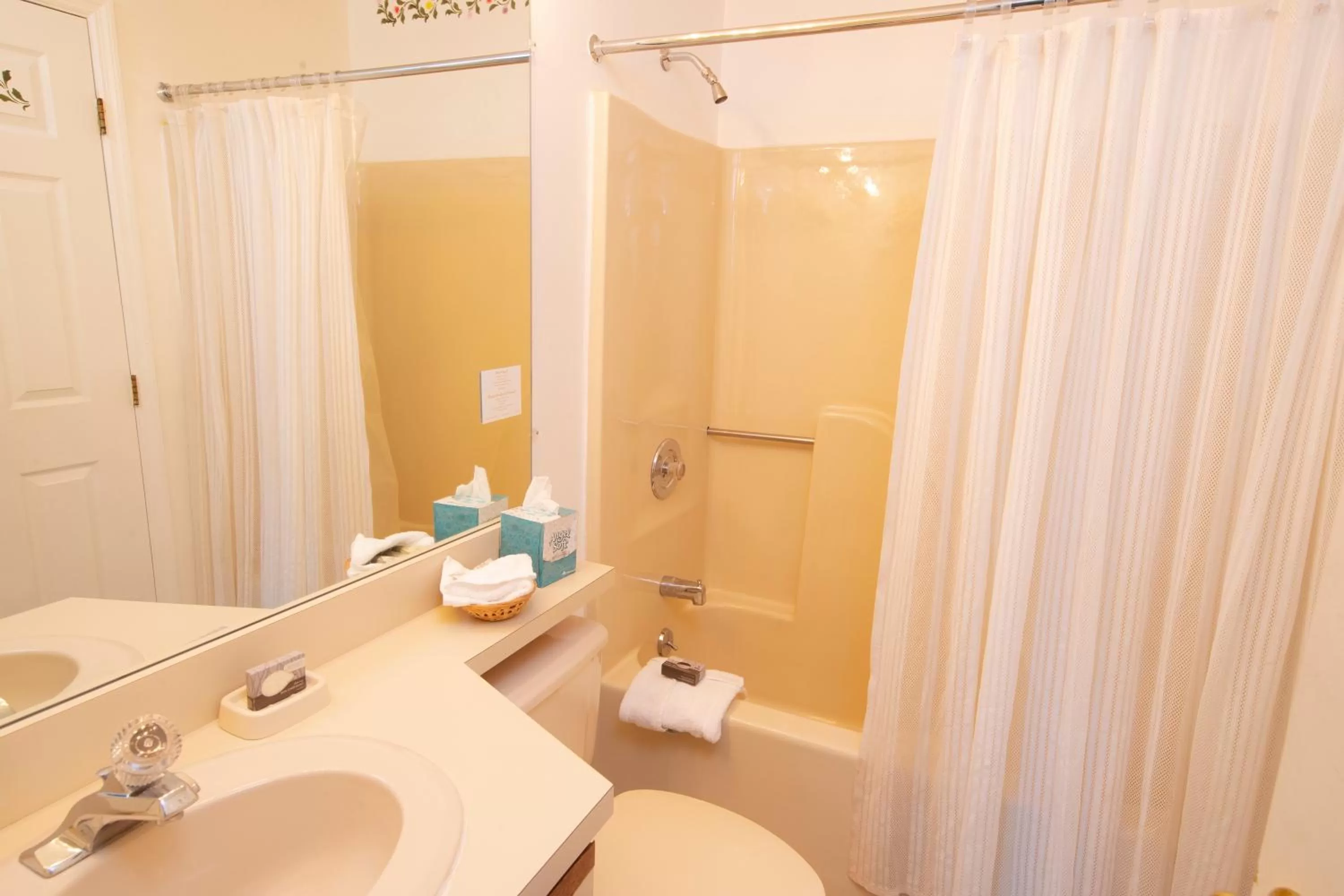 Winterplace on Okemo Mountain