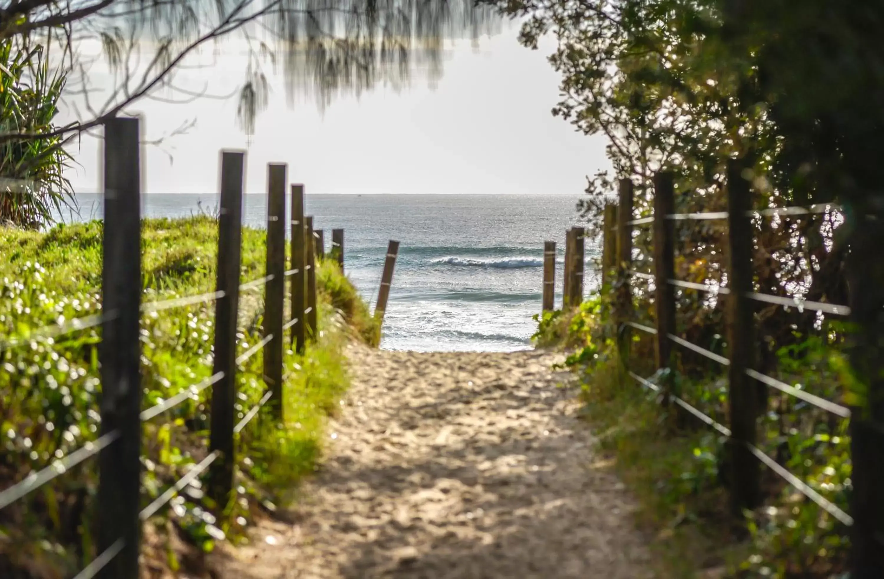 Natural landscape in Seachange Coolum Beach