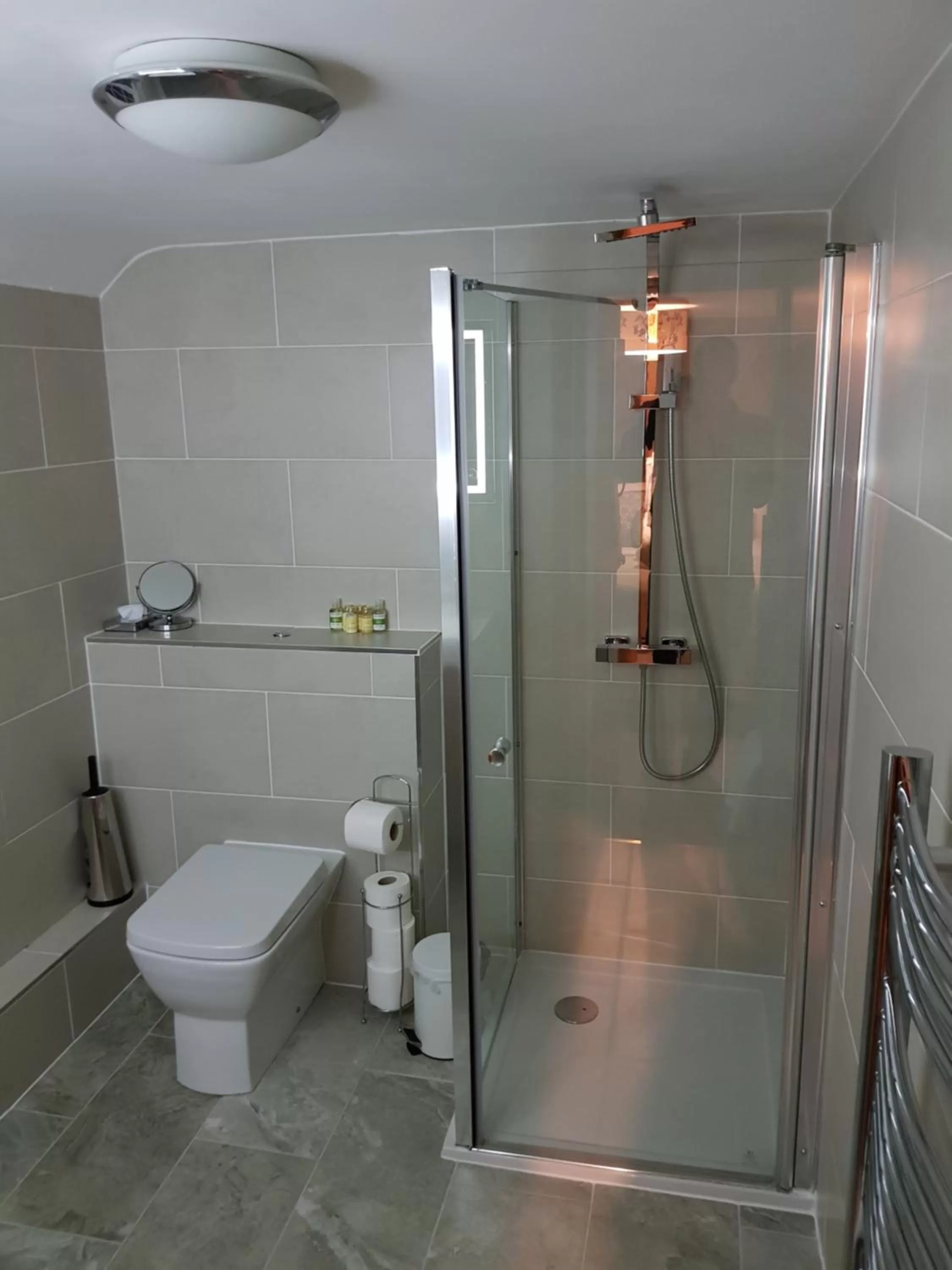 Shower, Bathroom in Monkey Brewhouse