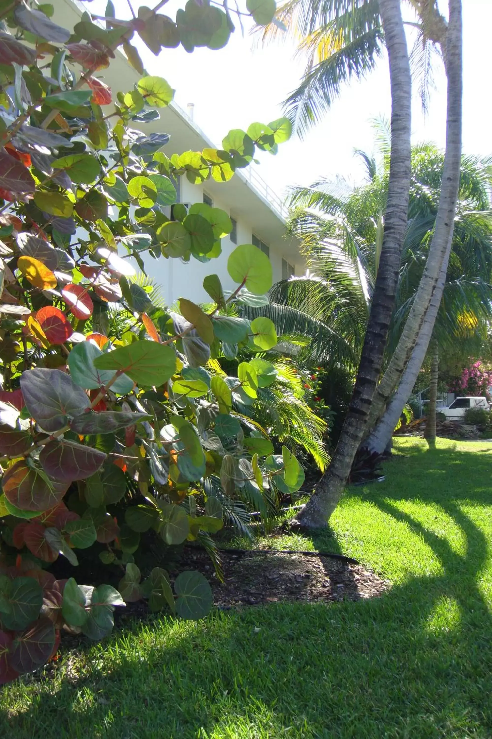 Facade/entrance, Garden in El Patio Motel