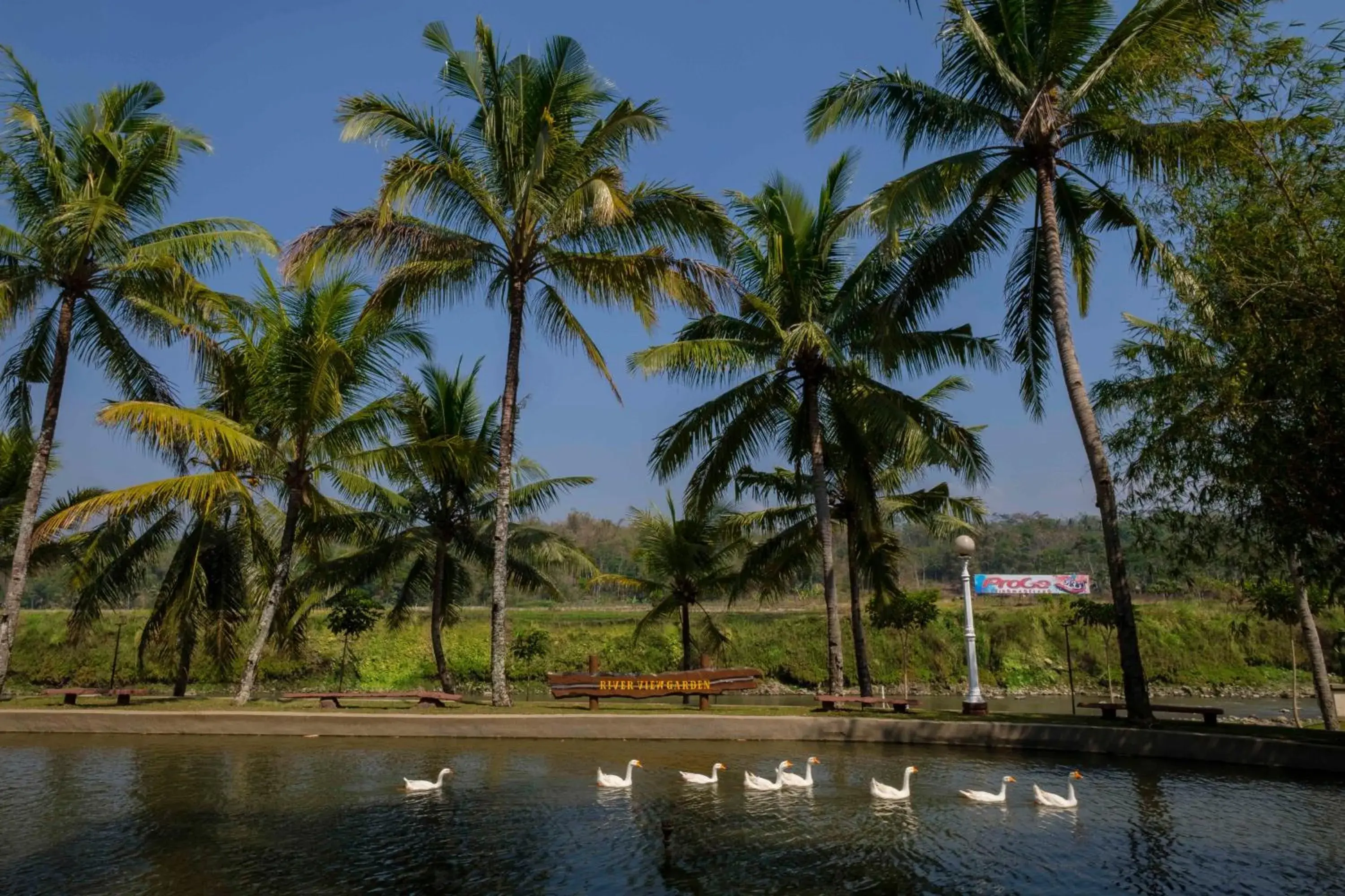 Natural landscape in Hotel Puri Asri