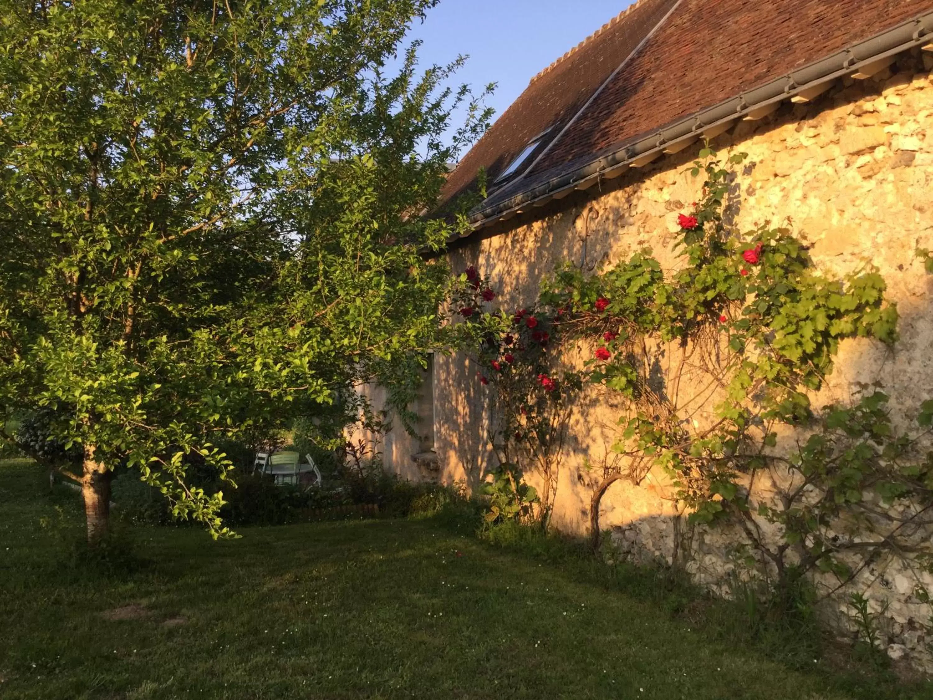 Garden view, Garden in Chambres d'hôtes La Ferme du Grand Launay