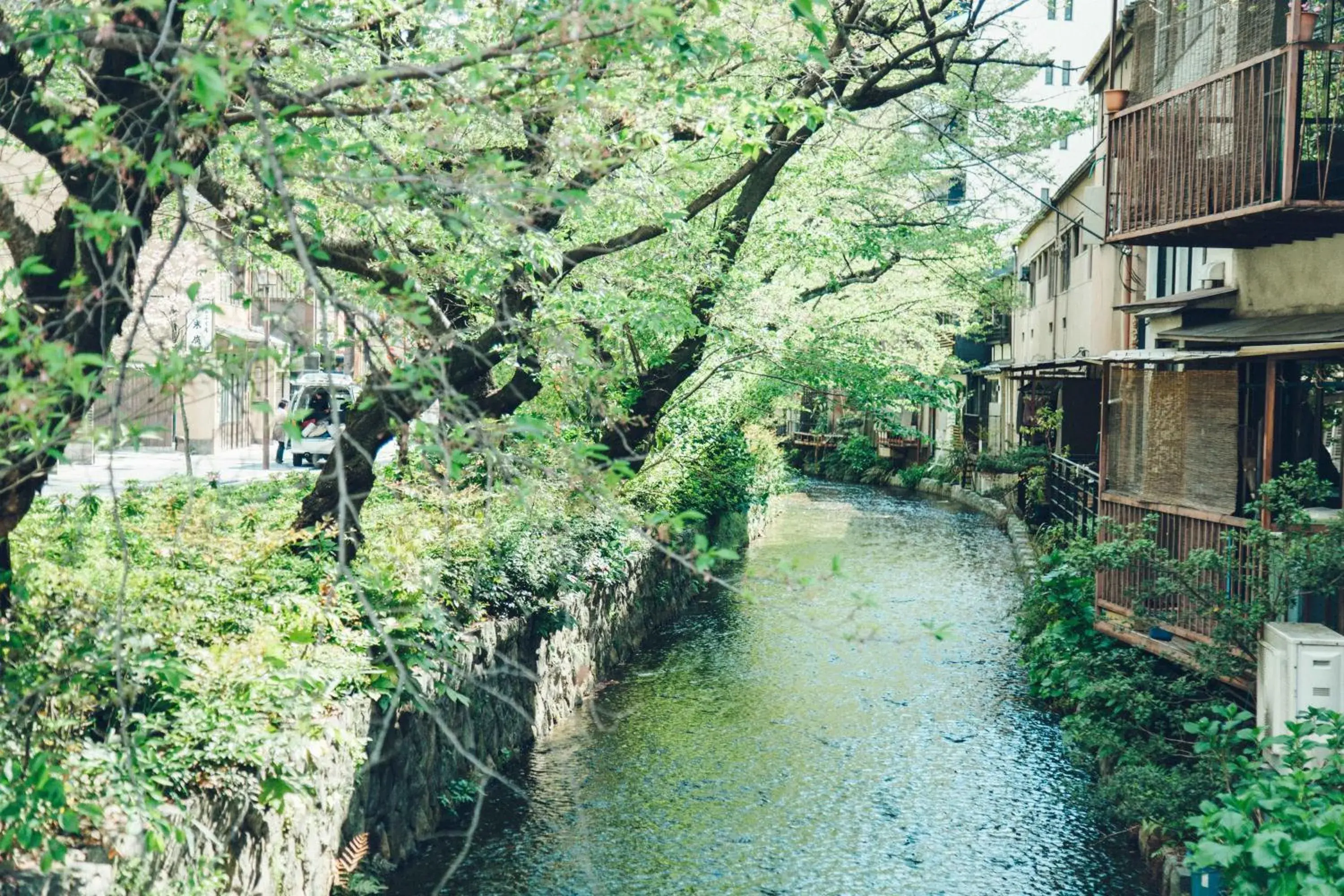 Neighbourhood in Len Kyoto Kawaramachi Hostel Cafe & Bar