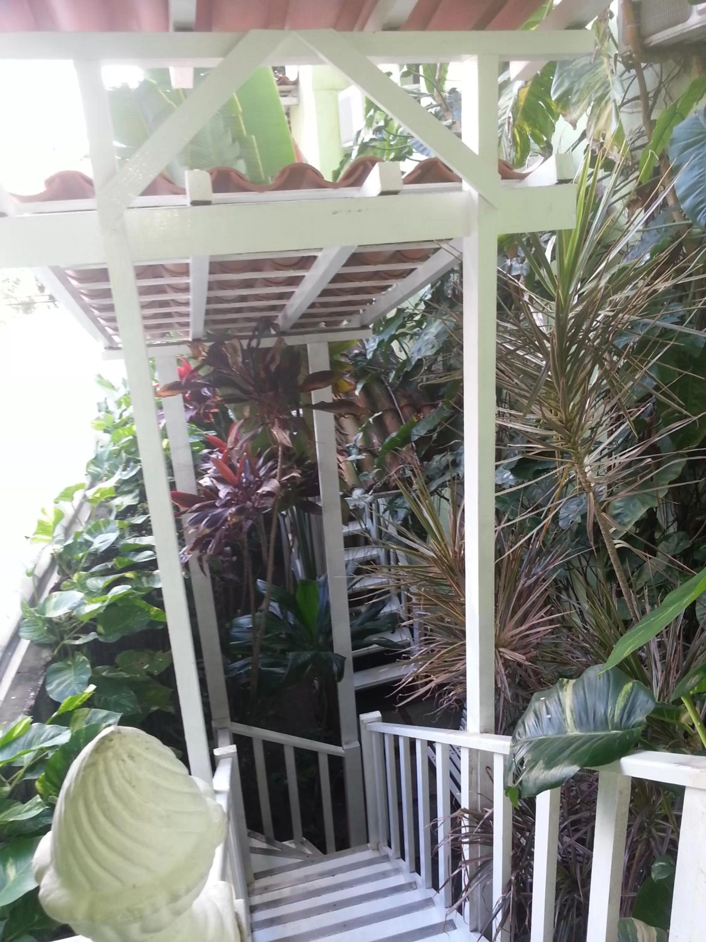 Day in Hotel Pousada Papaya Verde