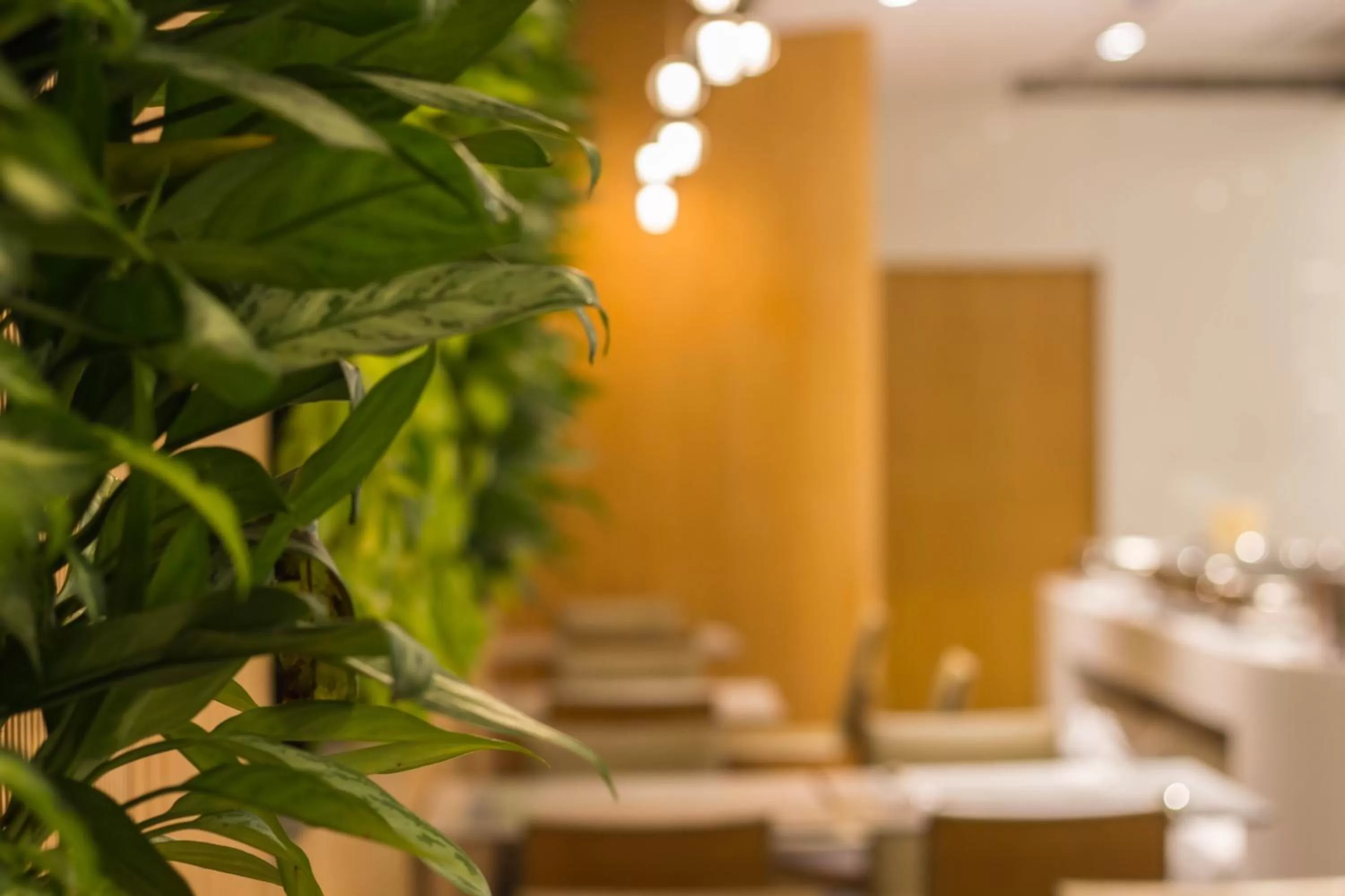 Dining area in The Carlton Taichung