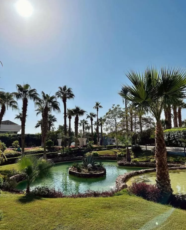 Natural landscape in Monte Carlo Sharm Resort & Spa