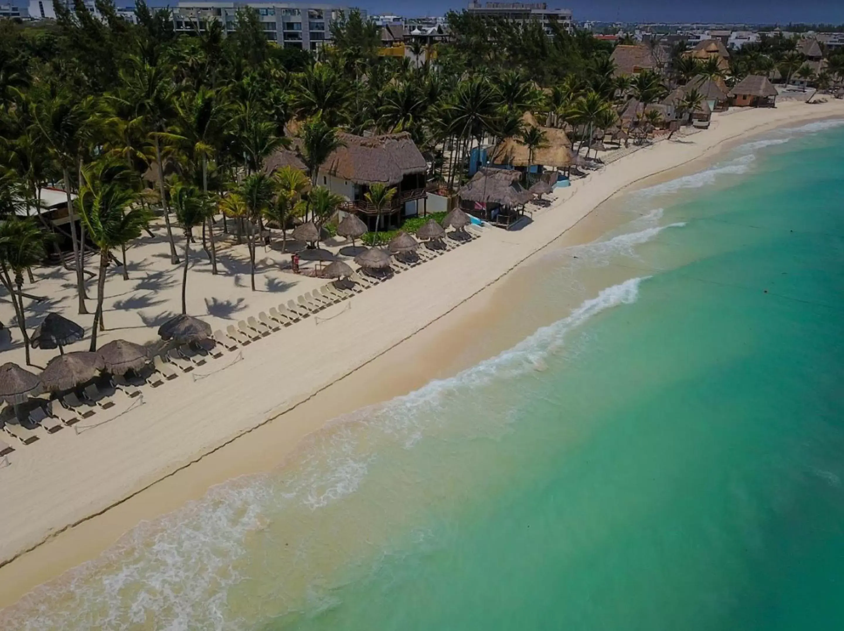 Beach, Bird's-eye View in Mahekal Beach Front Resort & Spa