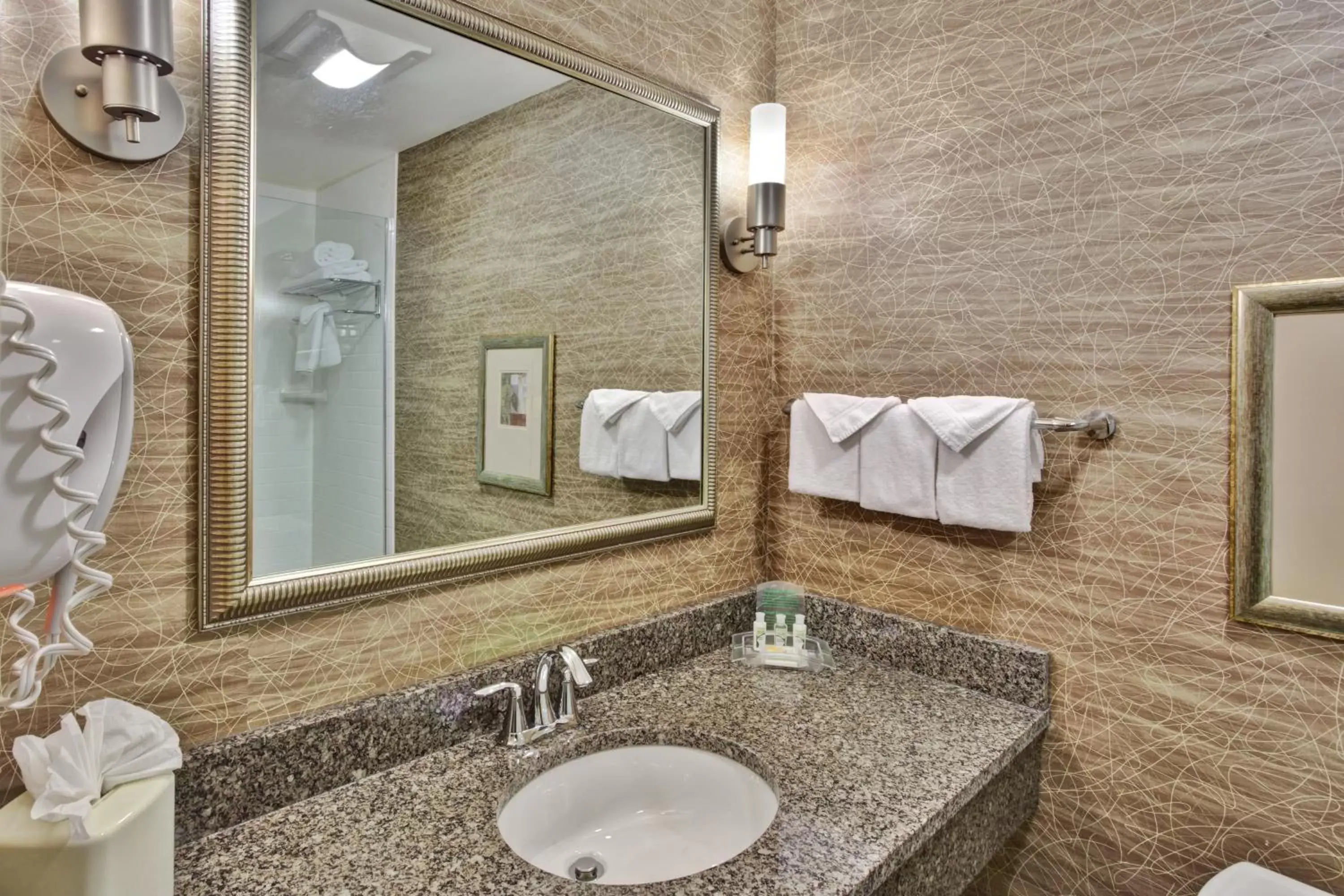 Bathroom in Holiday Inn Hotel Detroit Metro Airport, an IHG Hotel