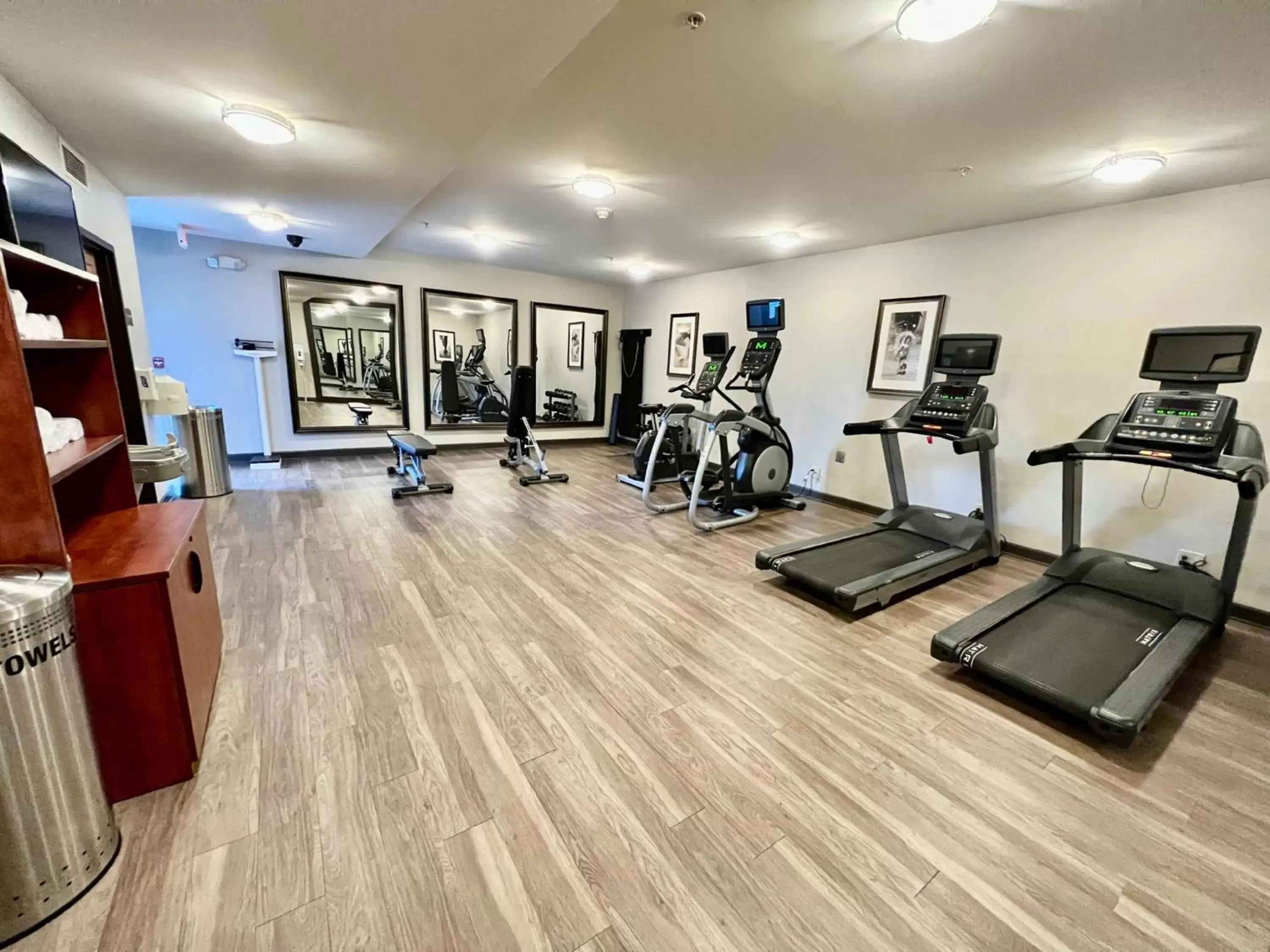 Fitness centre/facilities, Fitness Center/Facilities in Staybridge Suites Detroit-Novi