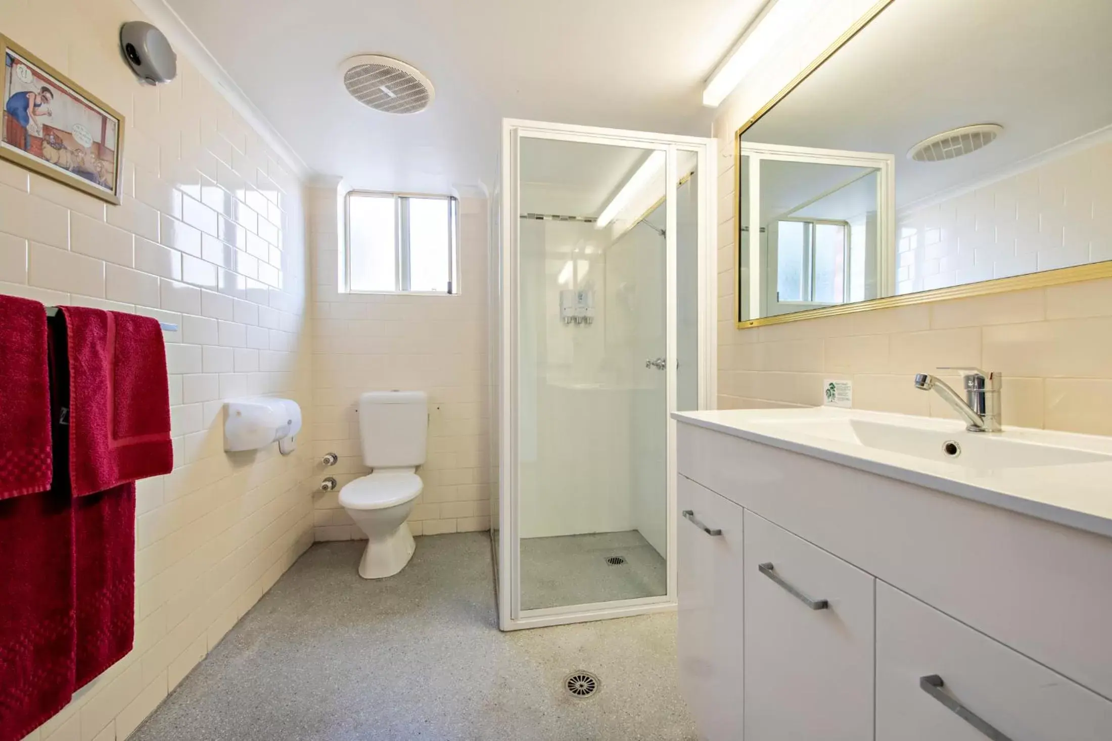 Shower, Bathroom in Shearing Shed Motor Inn