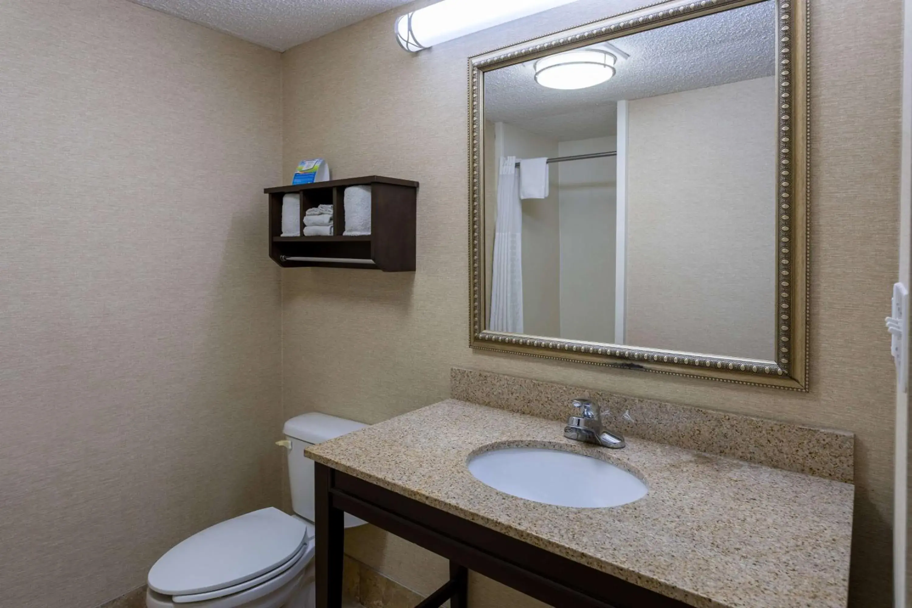 TV and multimedia, Bathroom in Baymont by Wyndham Saraland