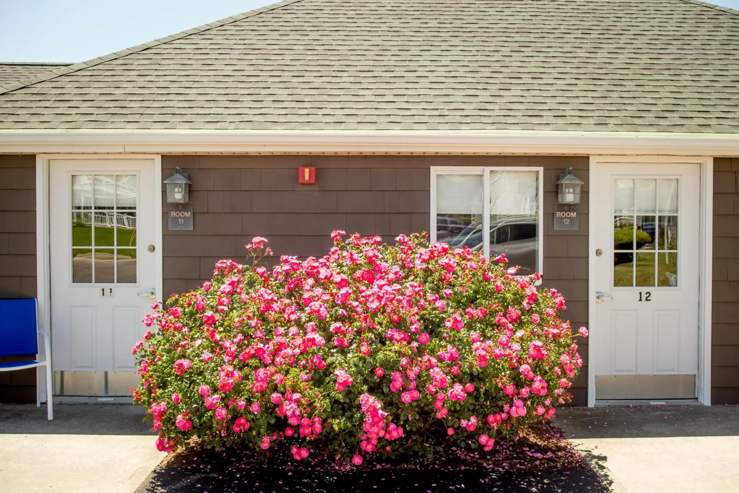 Facade/entrance in The Shore House Facade/entrance in The Shore House
