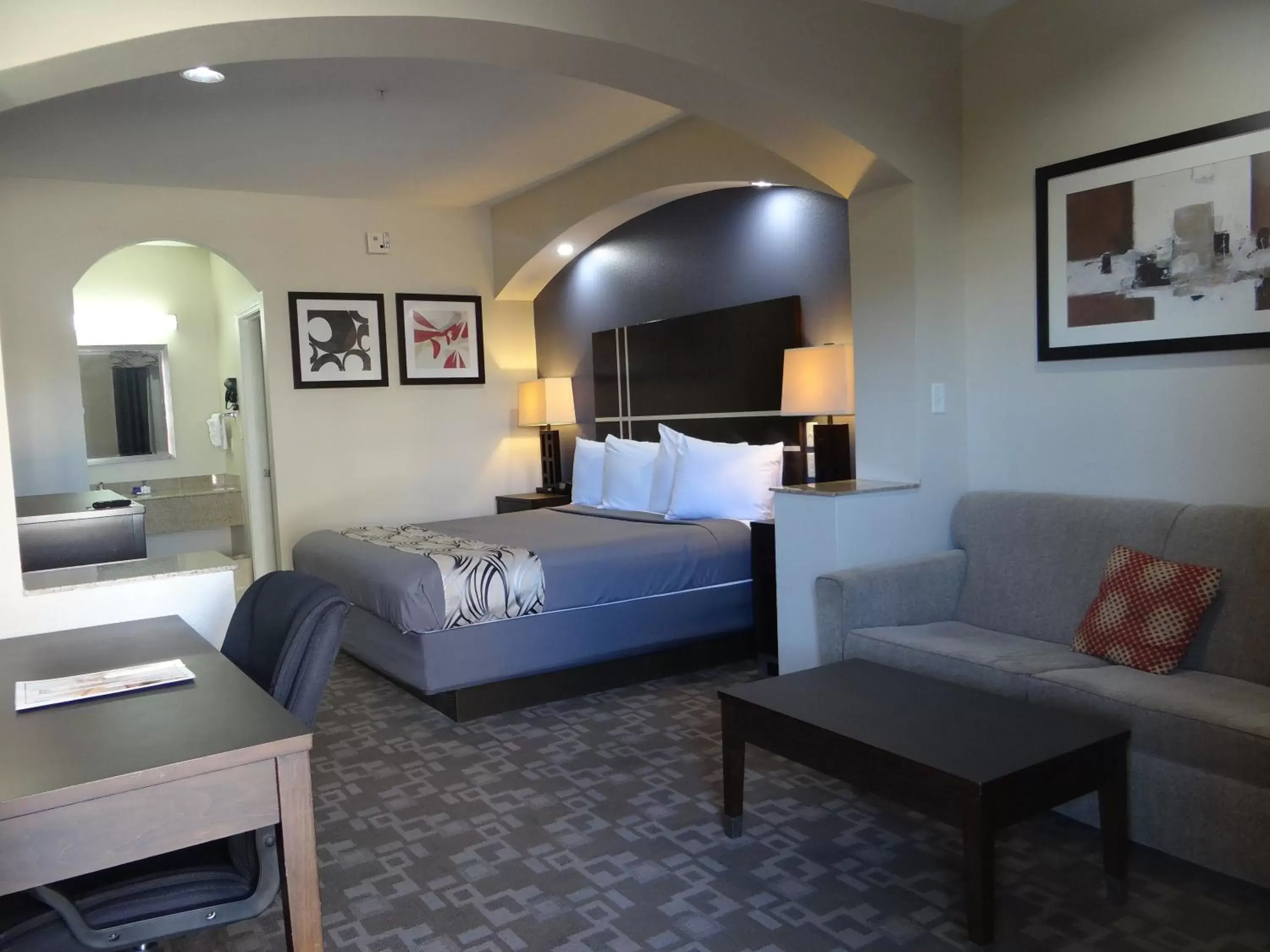 Regency Inn & Suites - Baytown