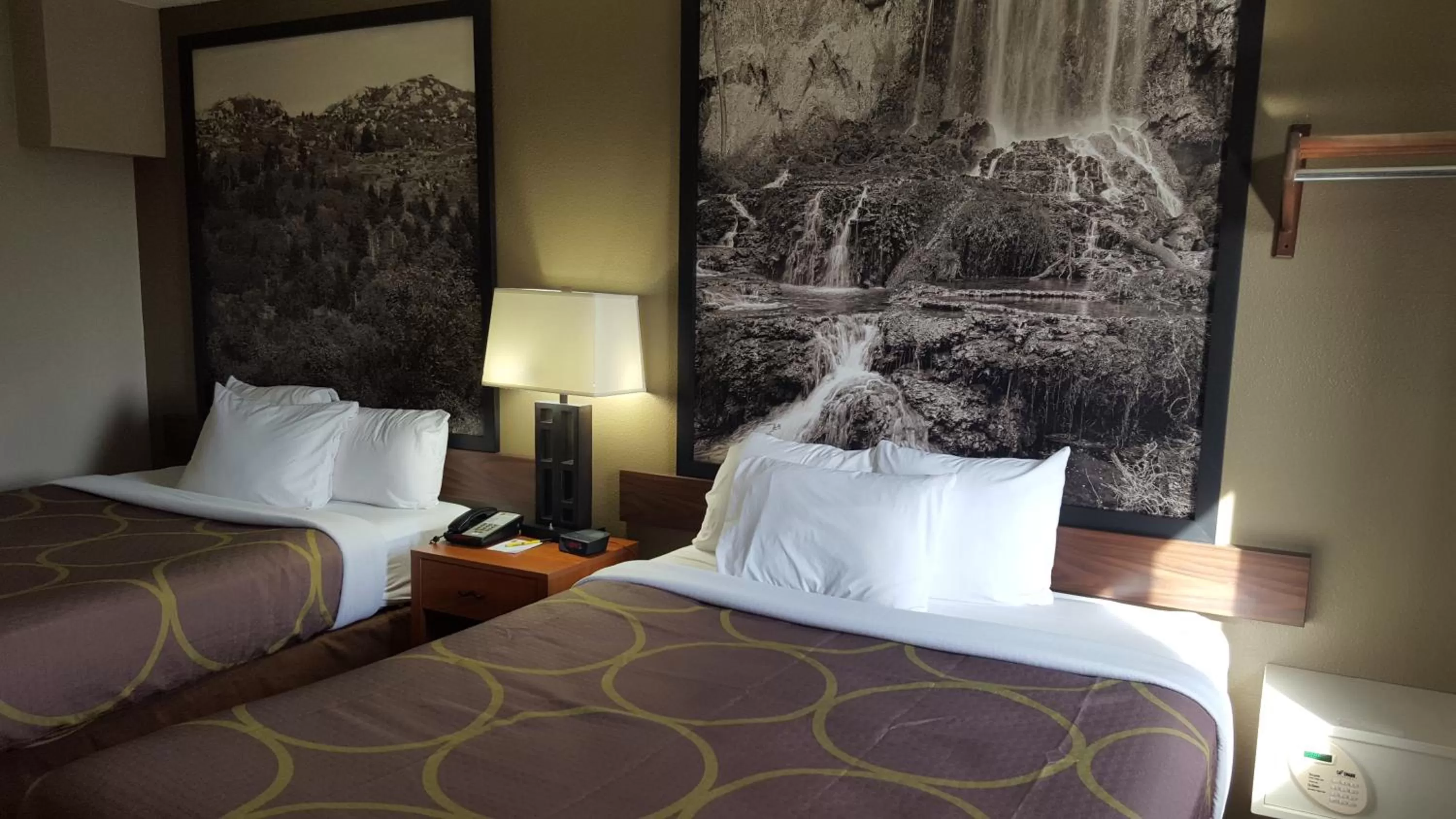 Bedroom, Bed in Super 8 by Wyndham Abingdon VA