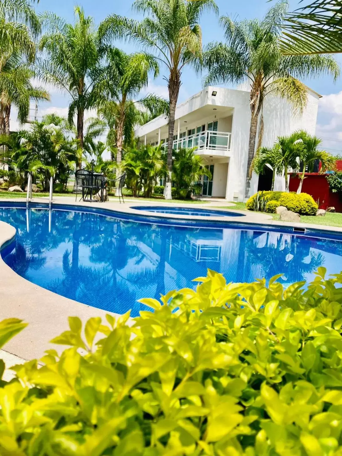 Garden, Swimming Pool in Hotel Cascada
