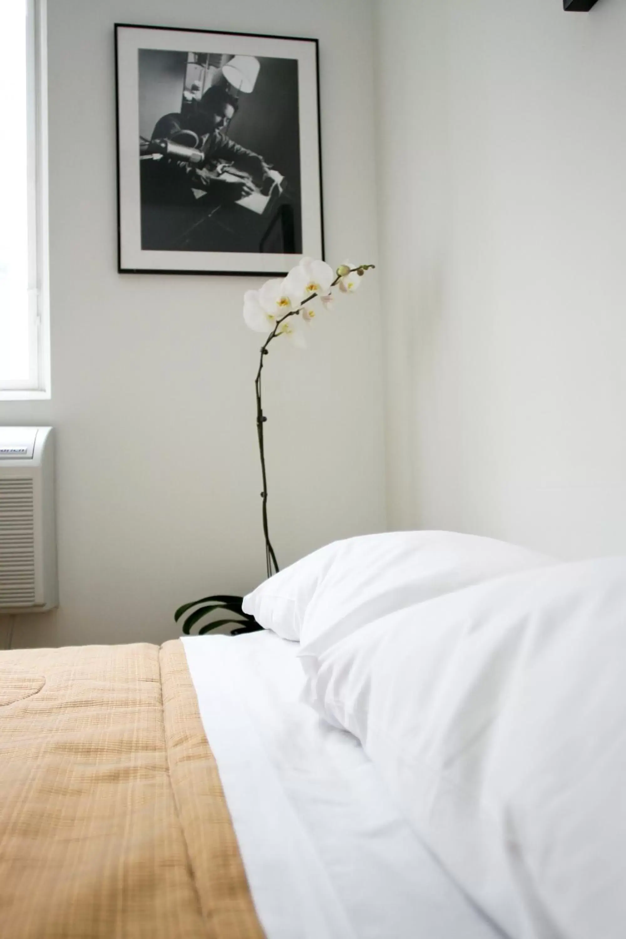 Bed in The Rex Hotel Jazz & Blues Bar Bed in The Rex Hotel Jazz & Blues Bar