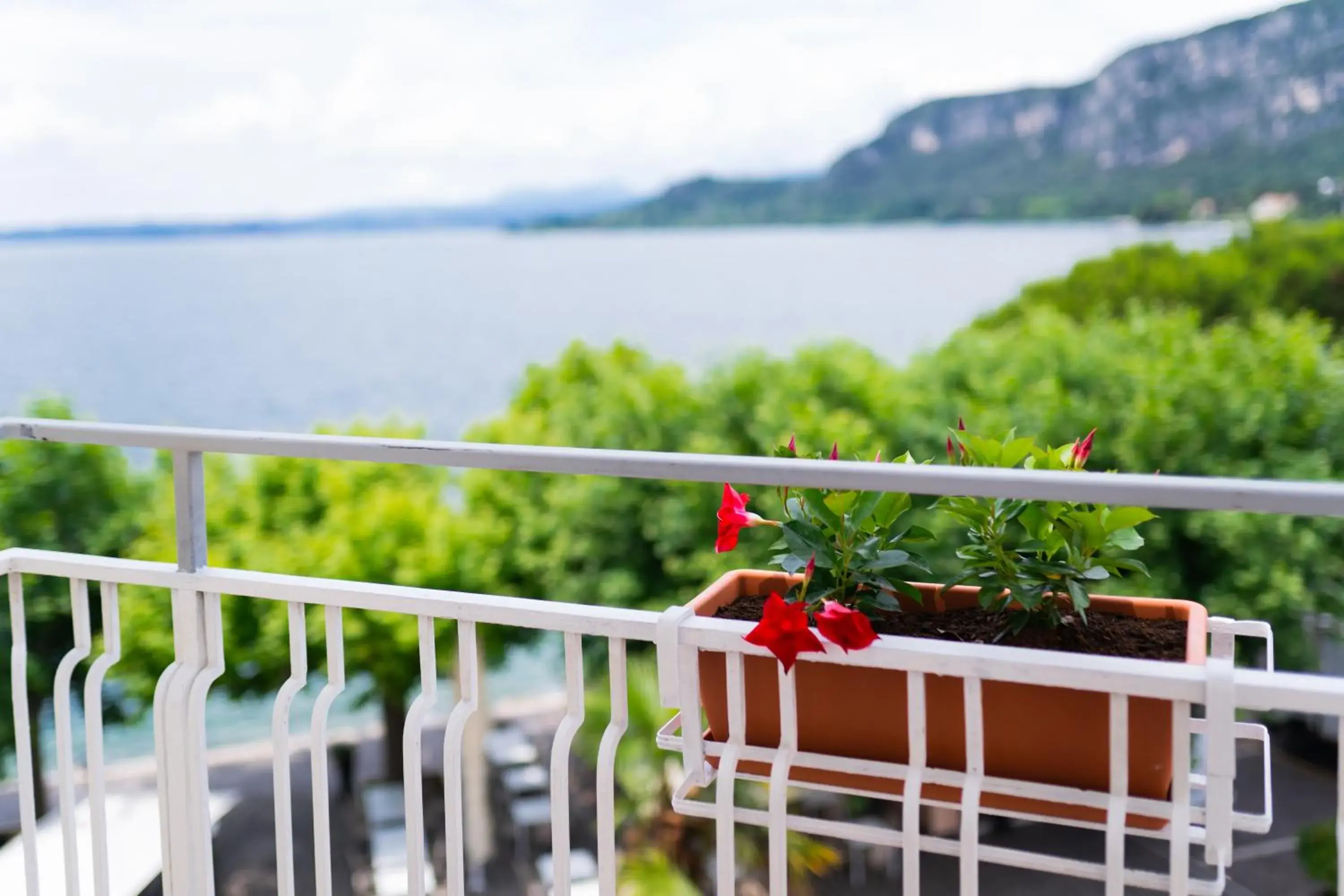 Balcony/Terrace in Hotel Conca D'Oro ***S