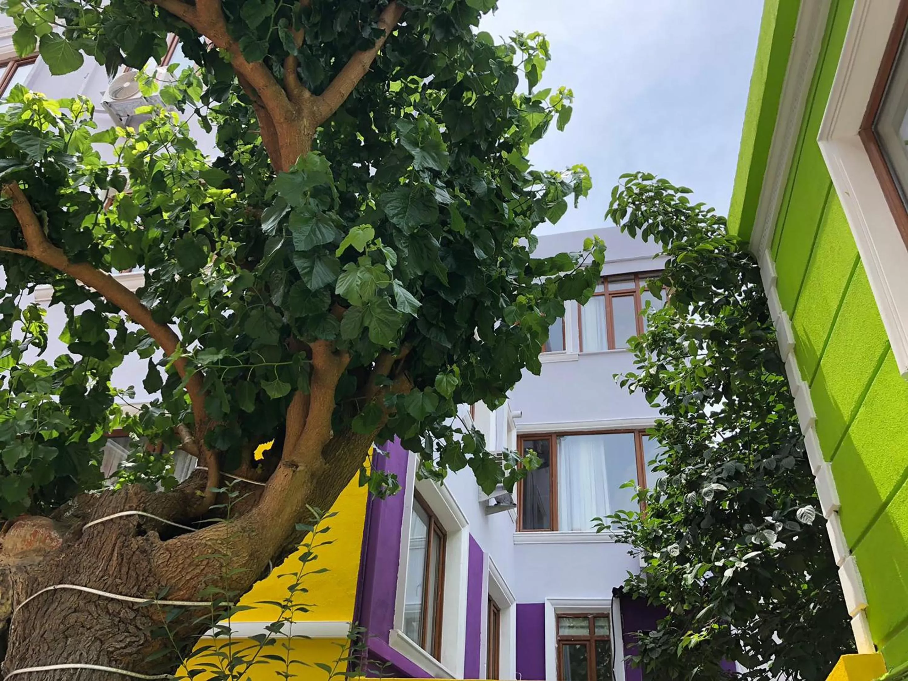 Property building in The Zanadu İstanbul