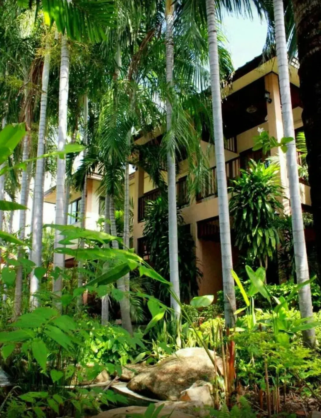 Garden, Property Building in Meewaya Hotel