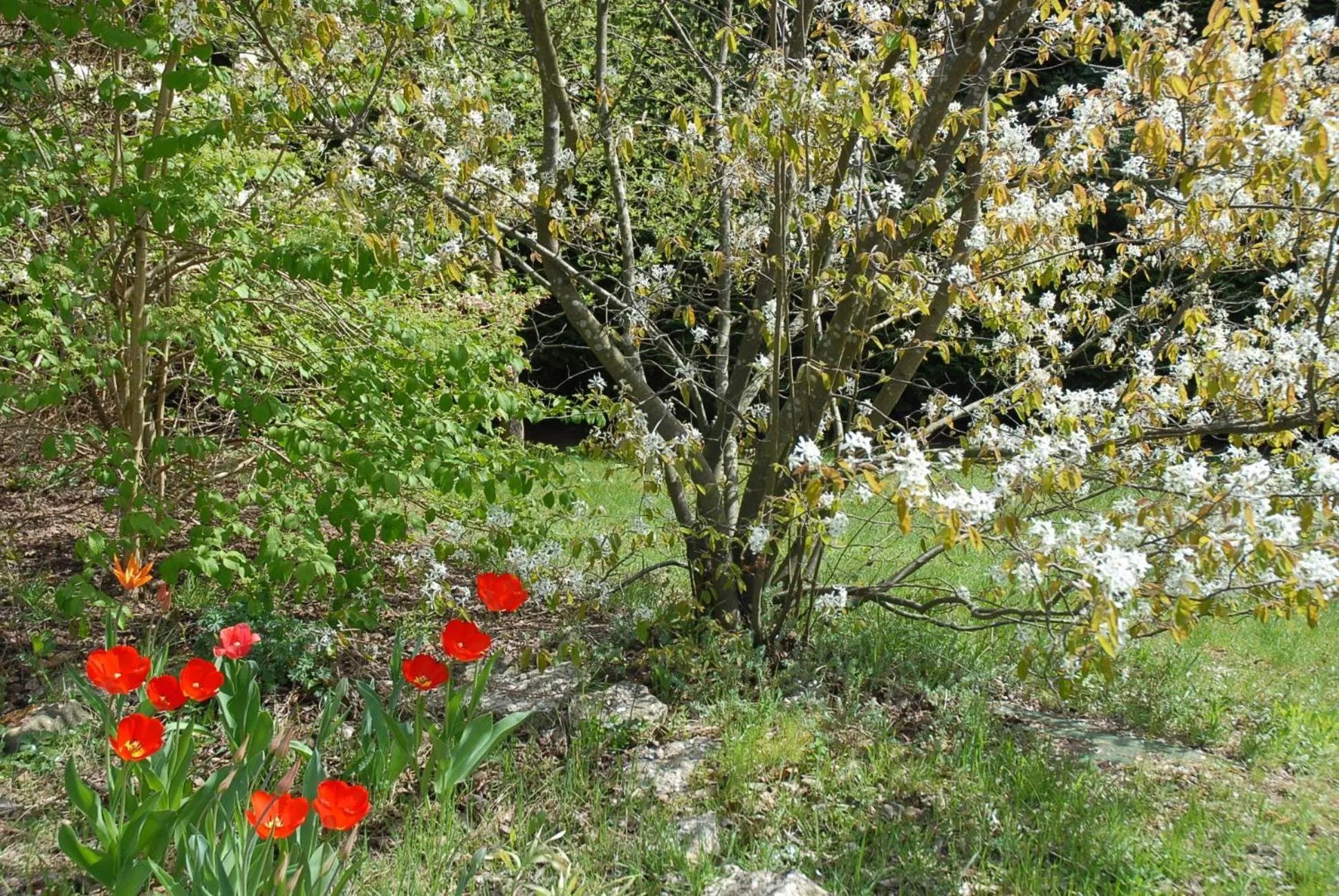 Spring in Villa Thalassa domaineleshesperides