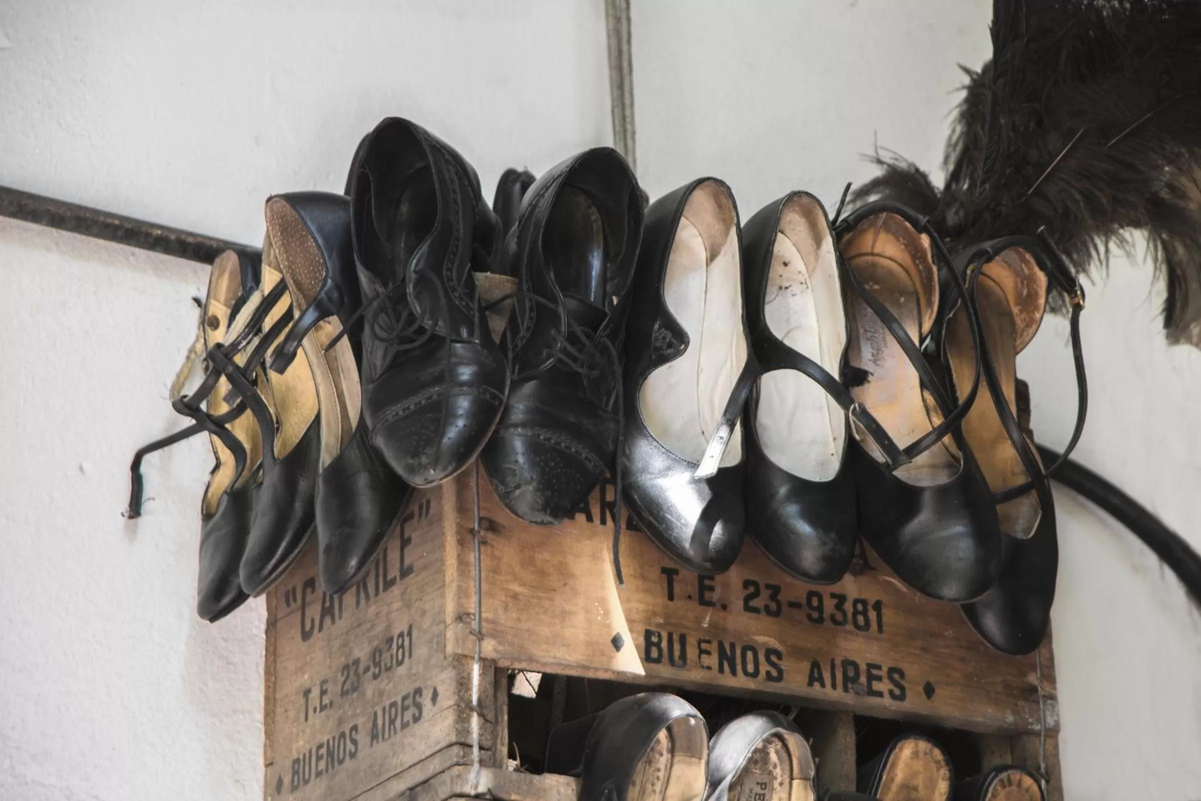 Garden in Lina's Tango Guesthouse