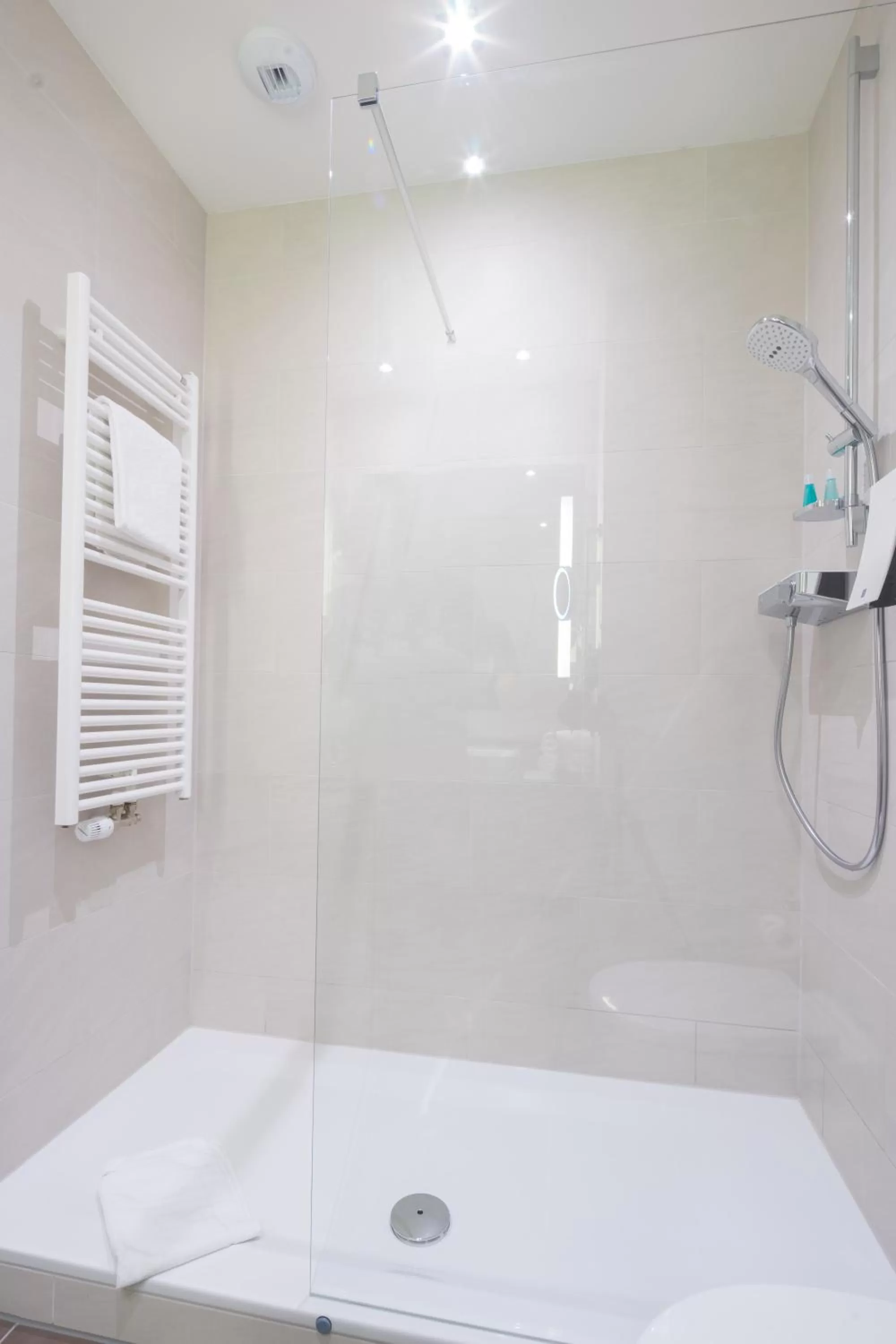 Shower in Best Western Hotel Dreiländerbrücke Weil am Rhein / Basel