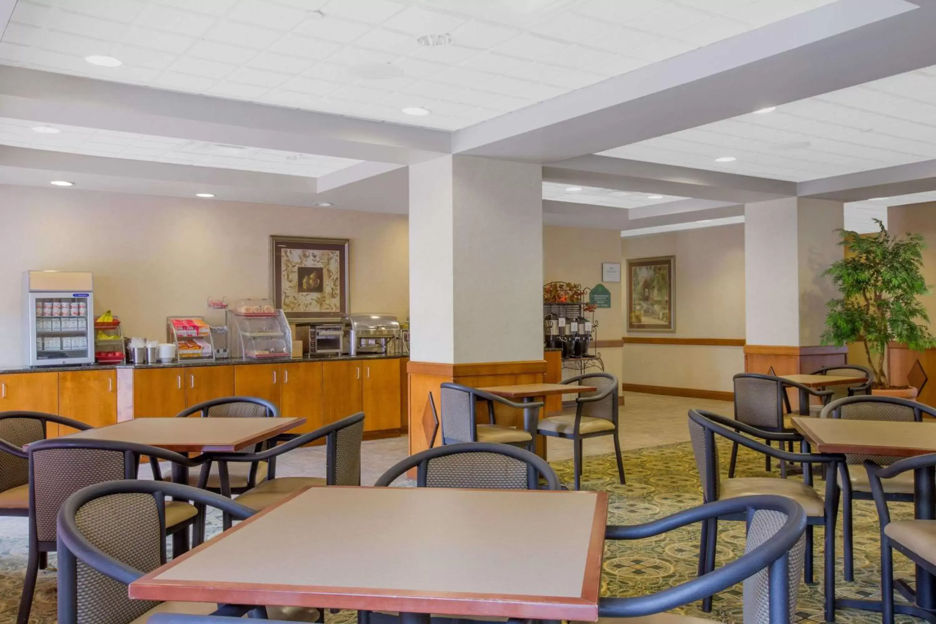 Restaurant/Places to Eat in Wingate by Wyndham Tuscaloosa