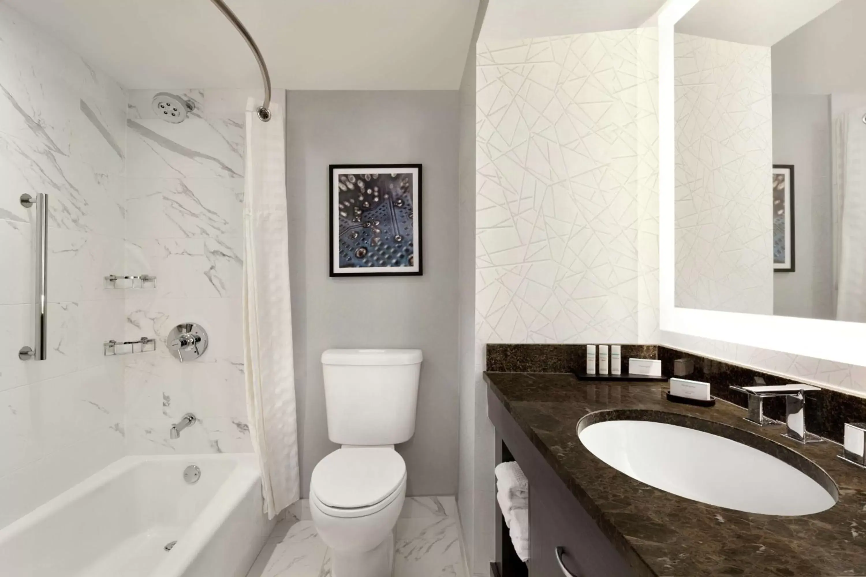 Bathroom in Embassy Suites by Hilton Santa Clara Silicon Valley