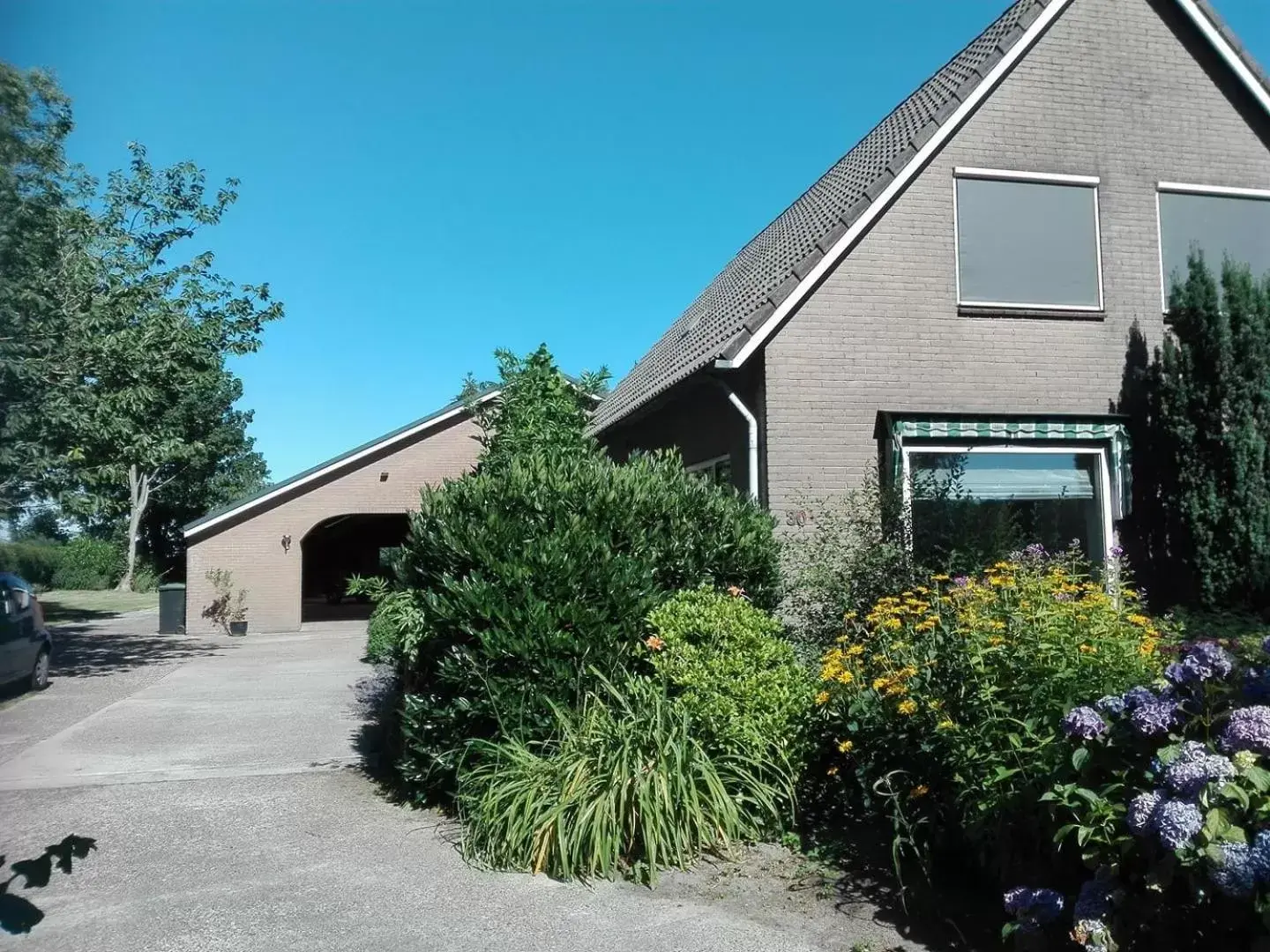 Property Building in Altynghe Property Building in Altynghe