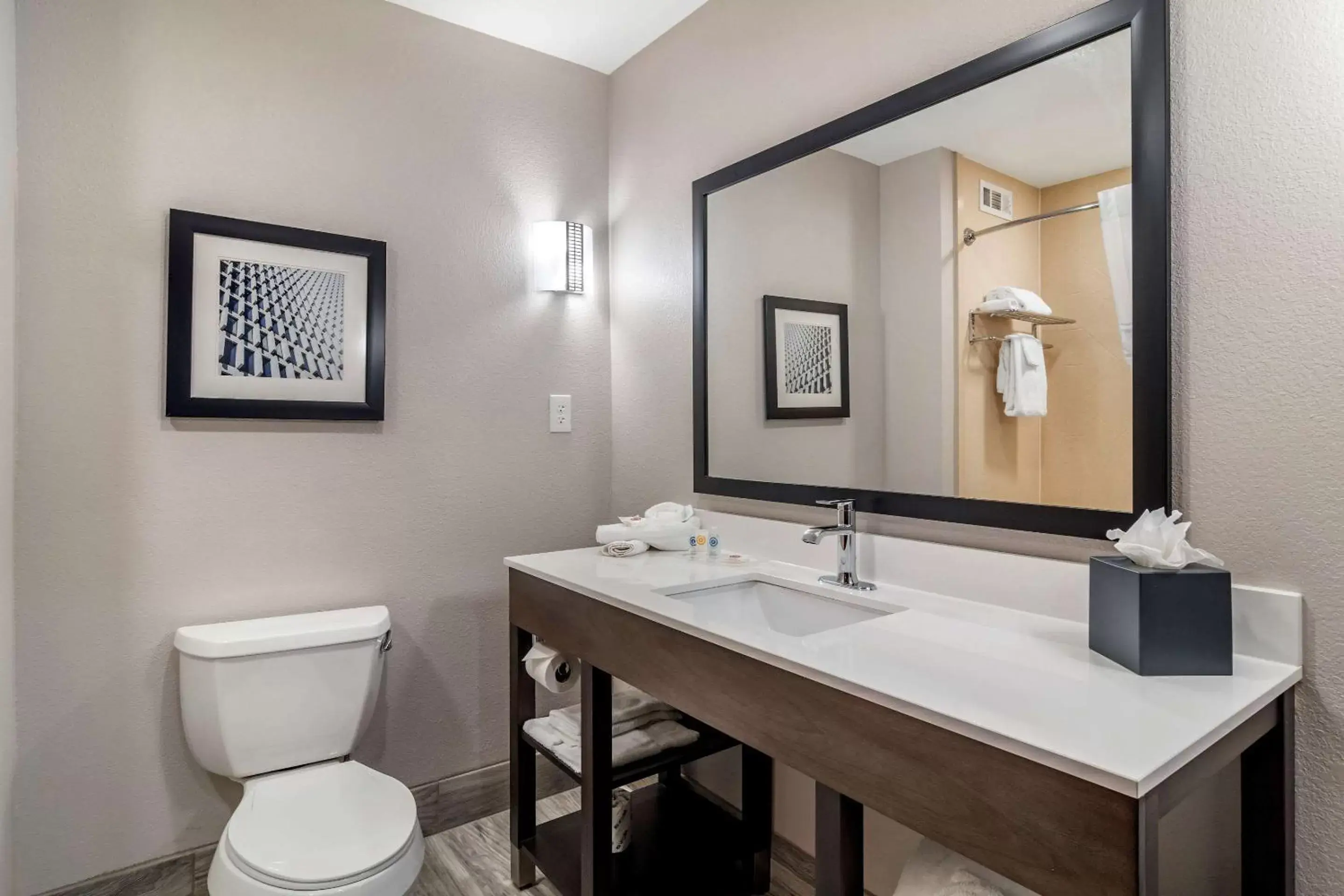 Bathroom in Comfort Suites McDonough Atlanta South