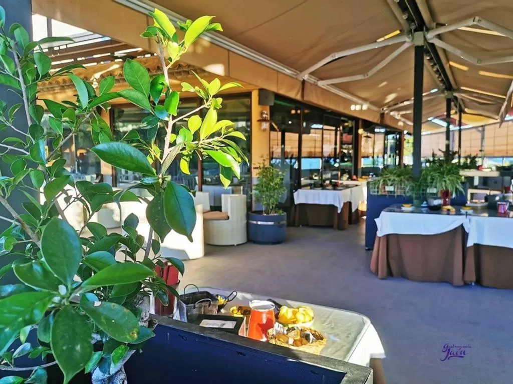 Restaurant/places to eat in Hotel Campos de Baeza