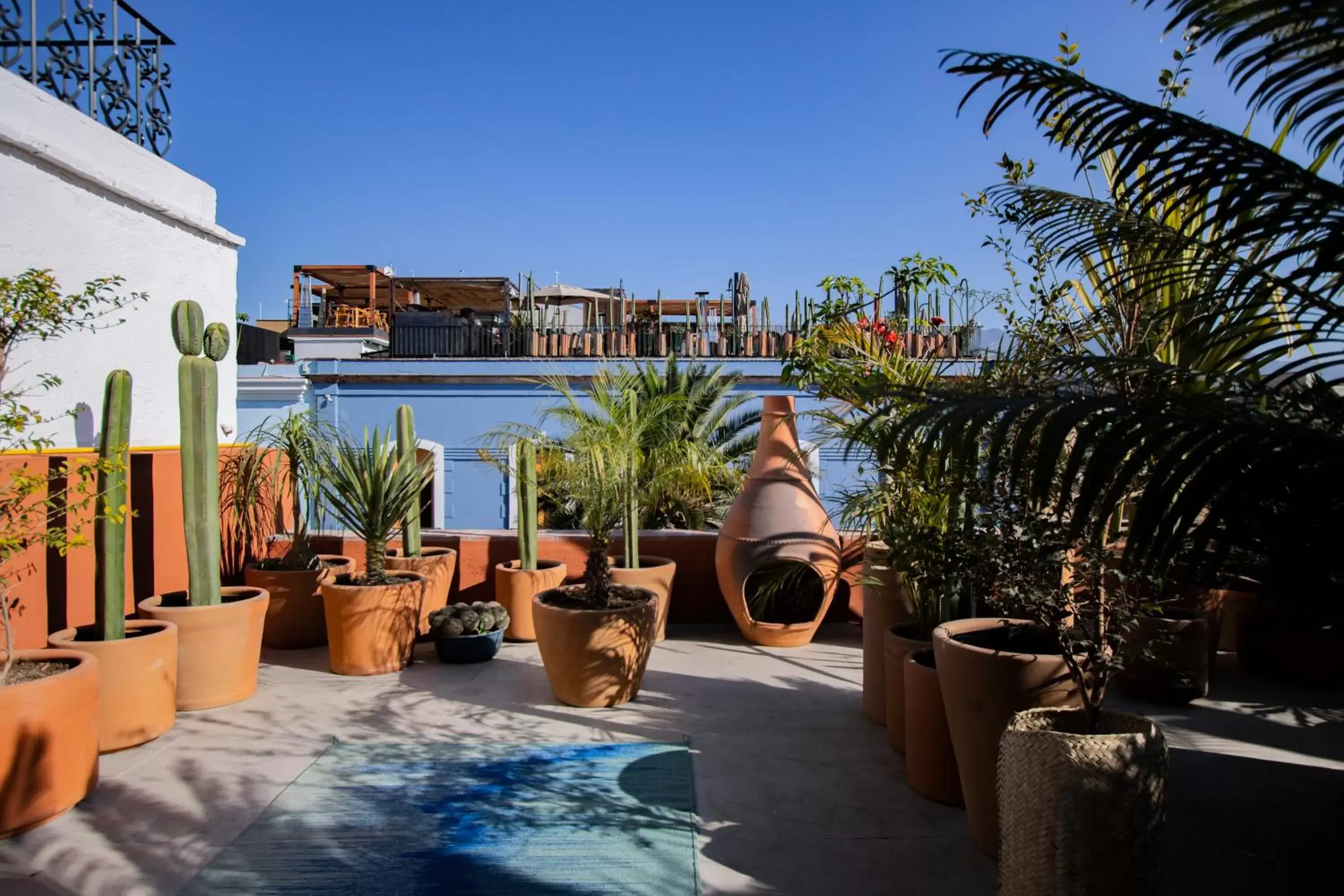 Balcony/Terrace in Hotel Los Amantes