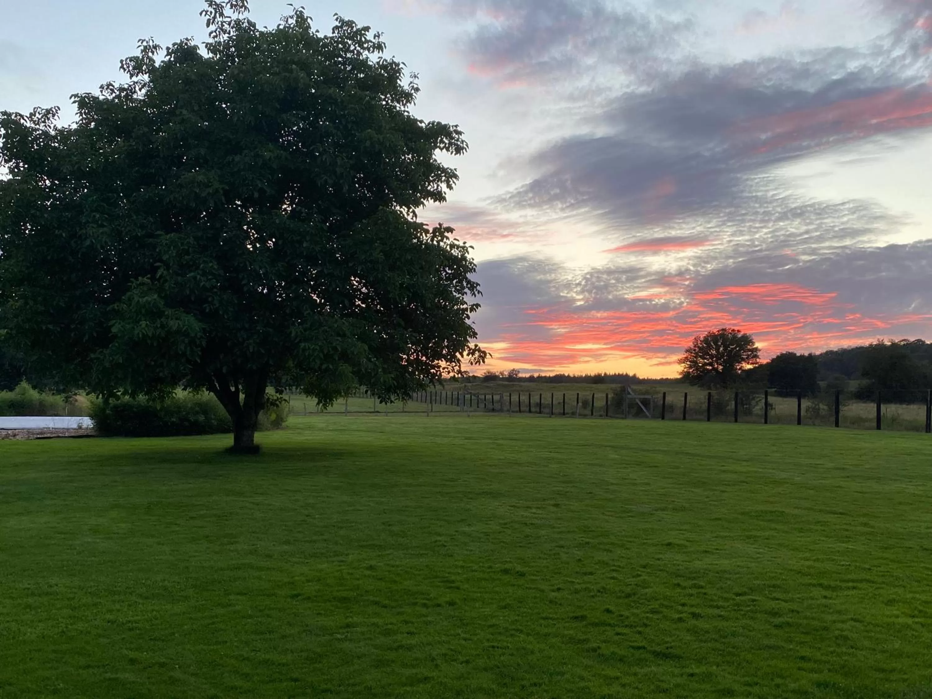 Garden in B&B Le Briquemont