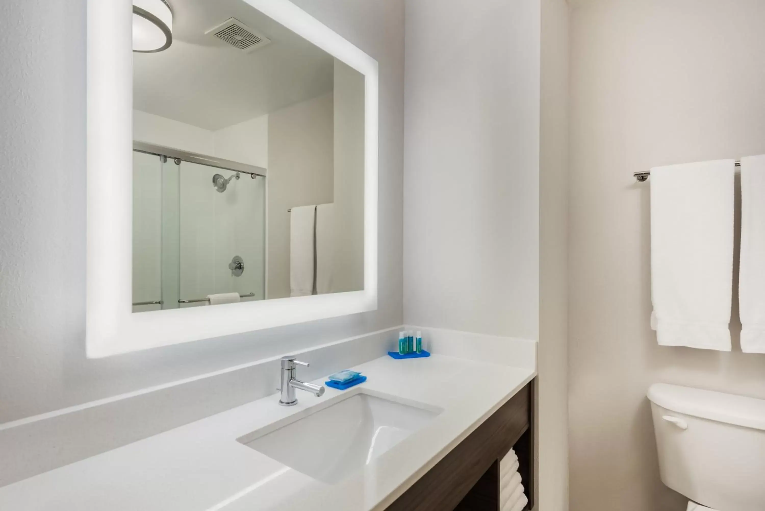 Bathroom in Holiday Inn Express Warrenton, an IHG Hotel