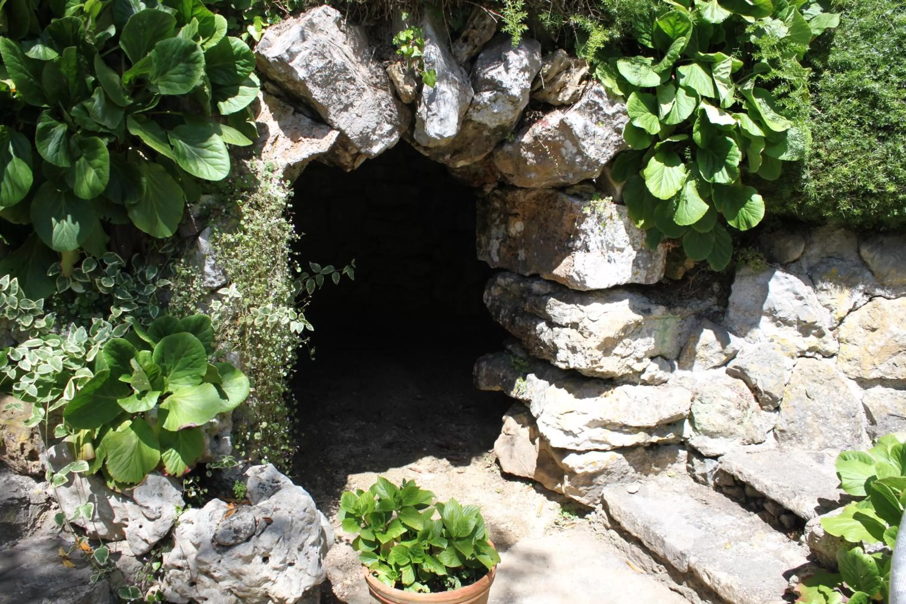 Garden in Lanui Vintage Guest House