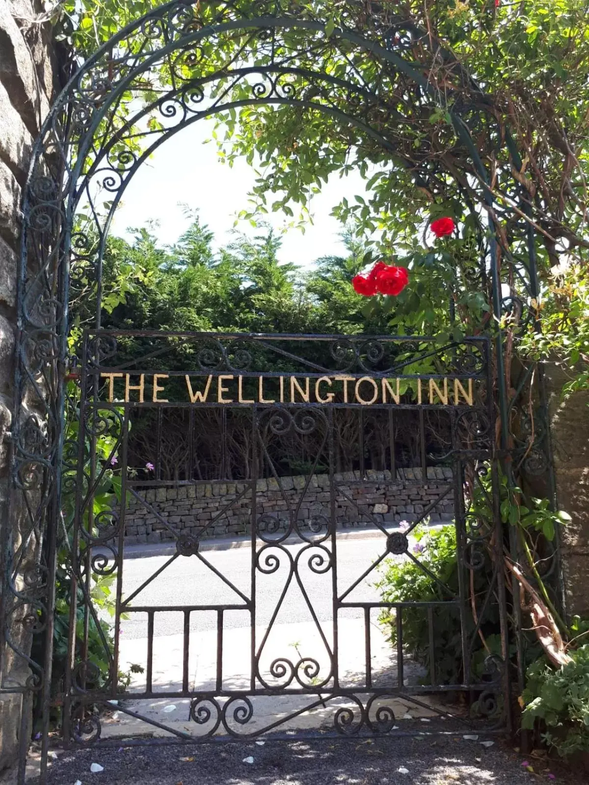 Garden in Wellington Inn