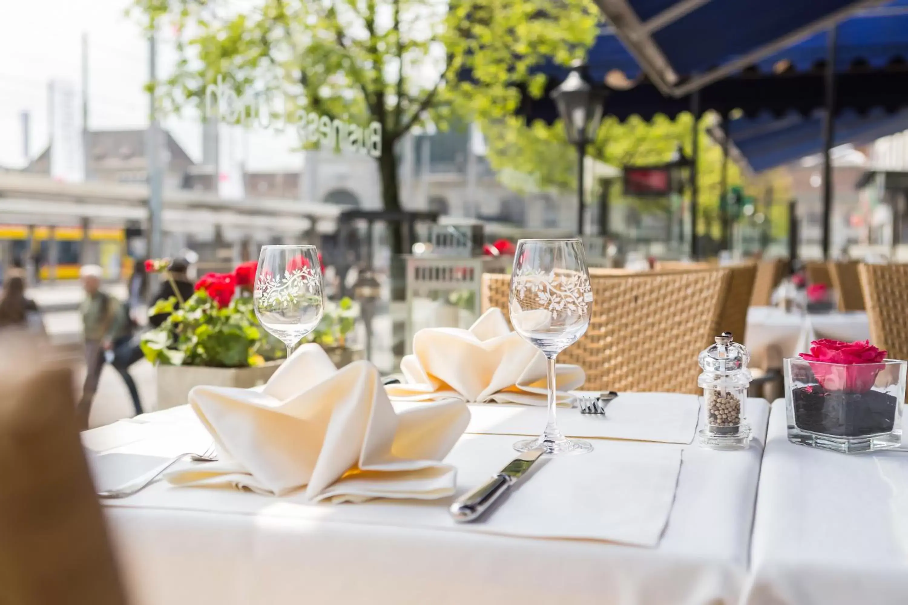 Pets, Restaurant/Places to Eat in Hotel Euler Basel