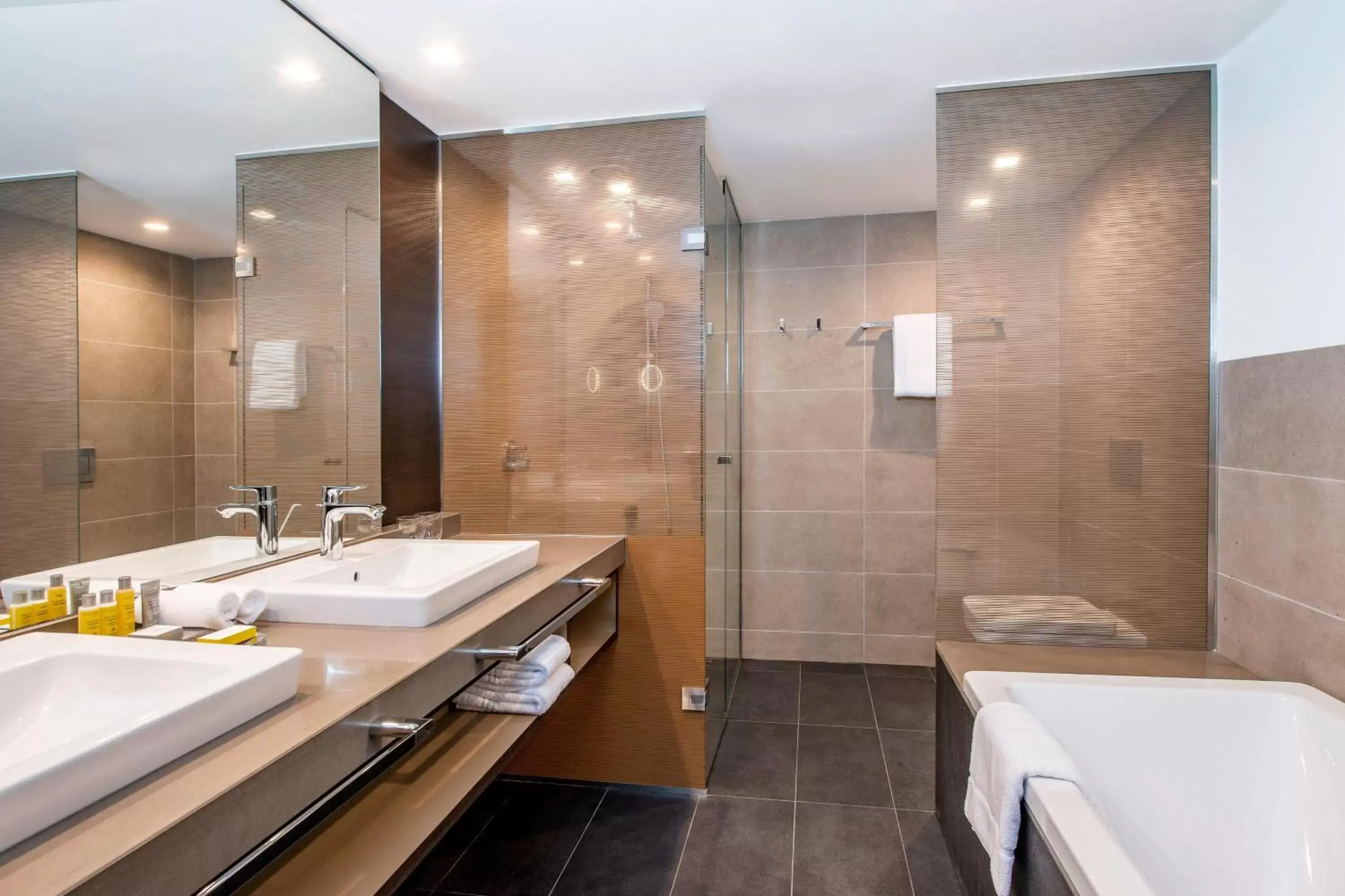 Photo of the whole room, Bathroom in Sheraton Grand Tbilisi Metechi Palace