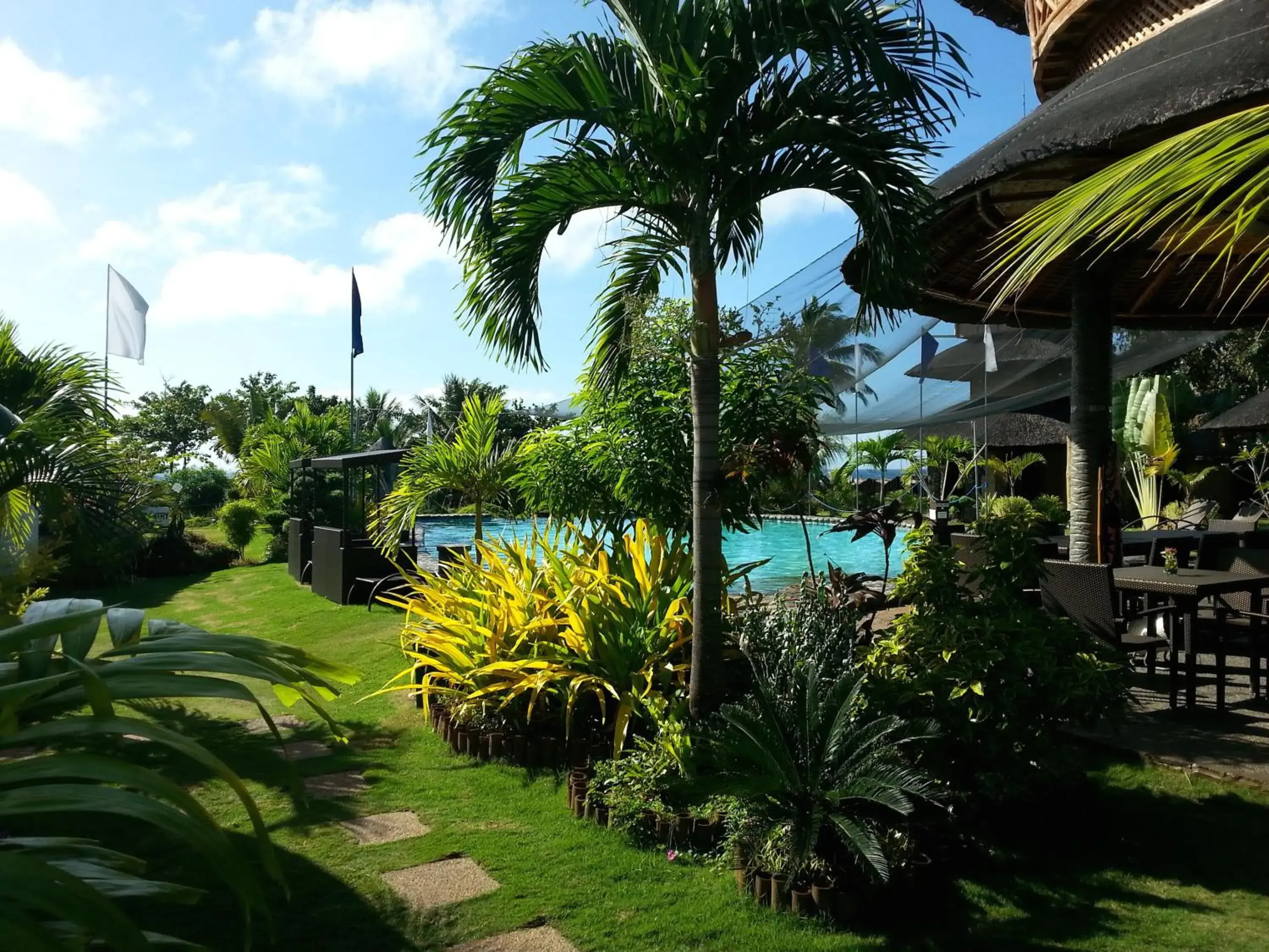 Garden, Swimming Pool in White Chocolate Hills Resort