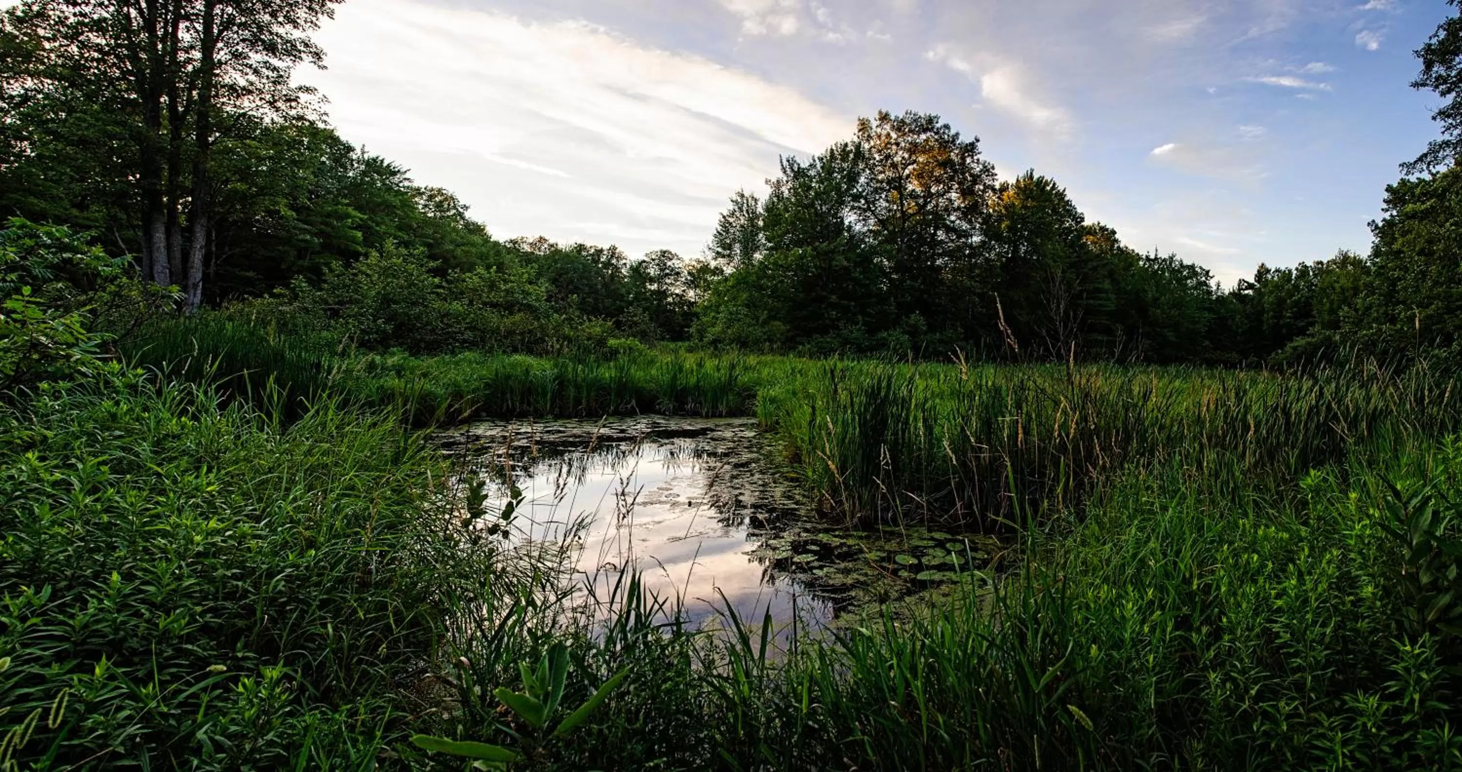 Day in Shambhala Bed and Breakfast