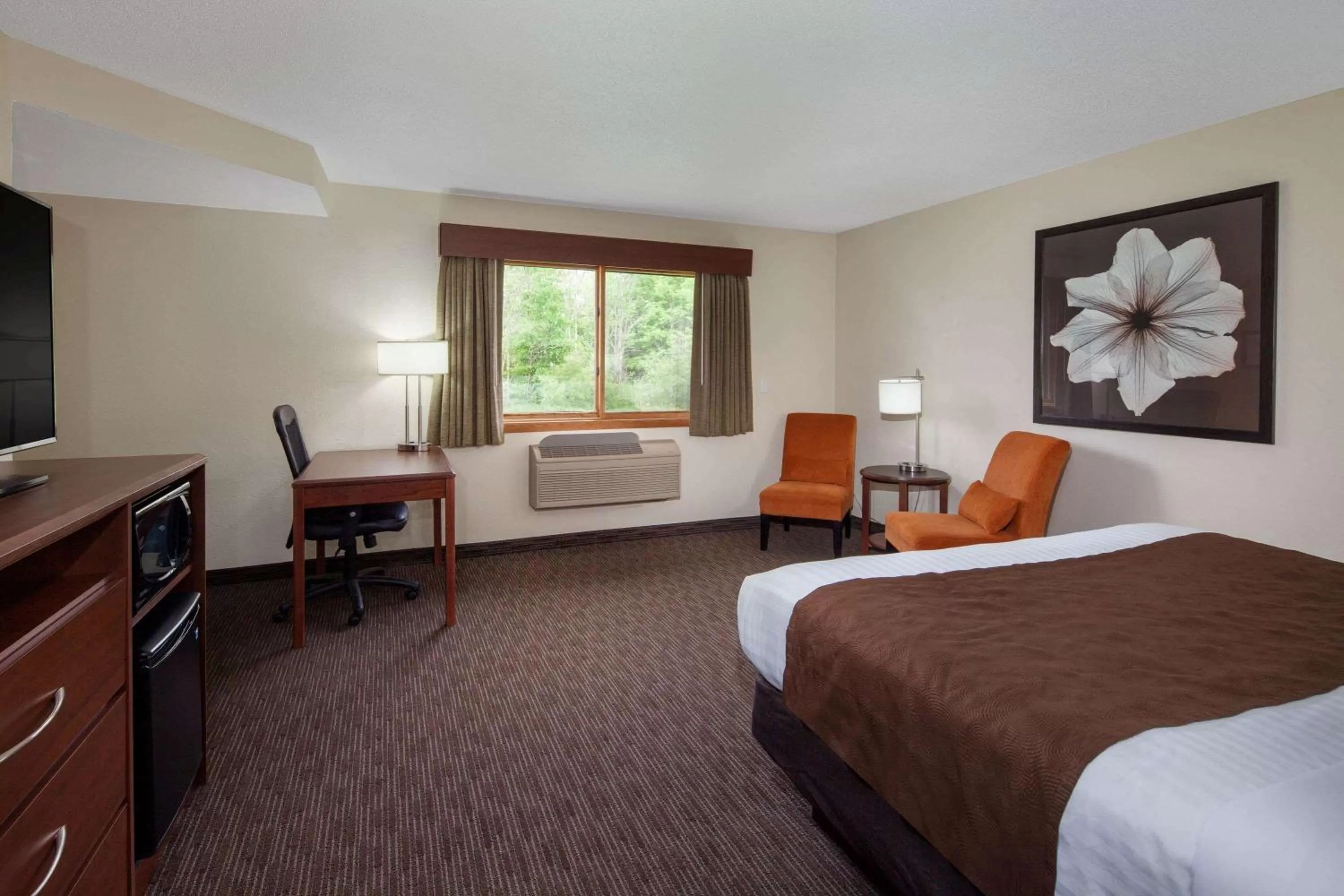 Photo of the whole room, Bed in AmericInn by Wyndham Ironwood