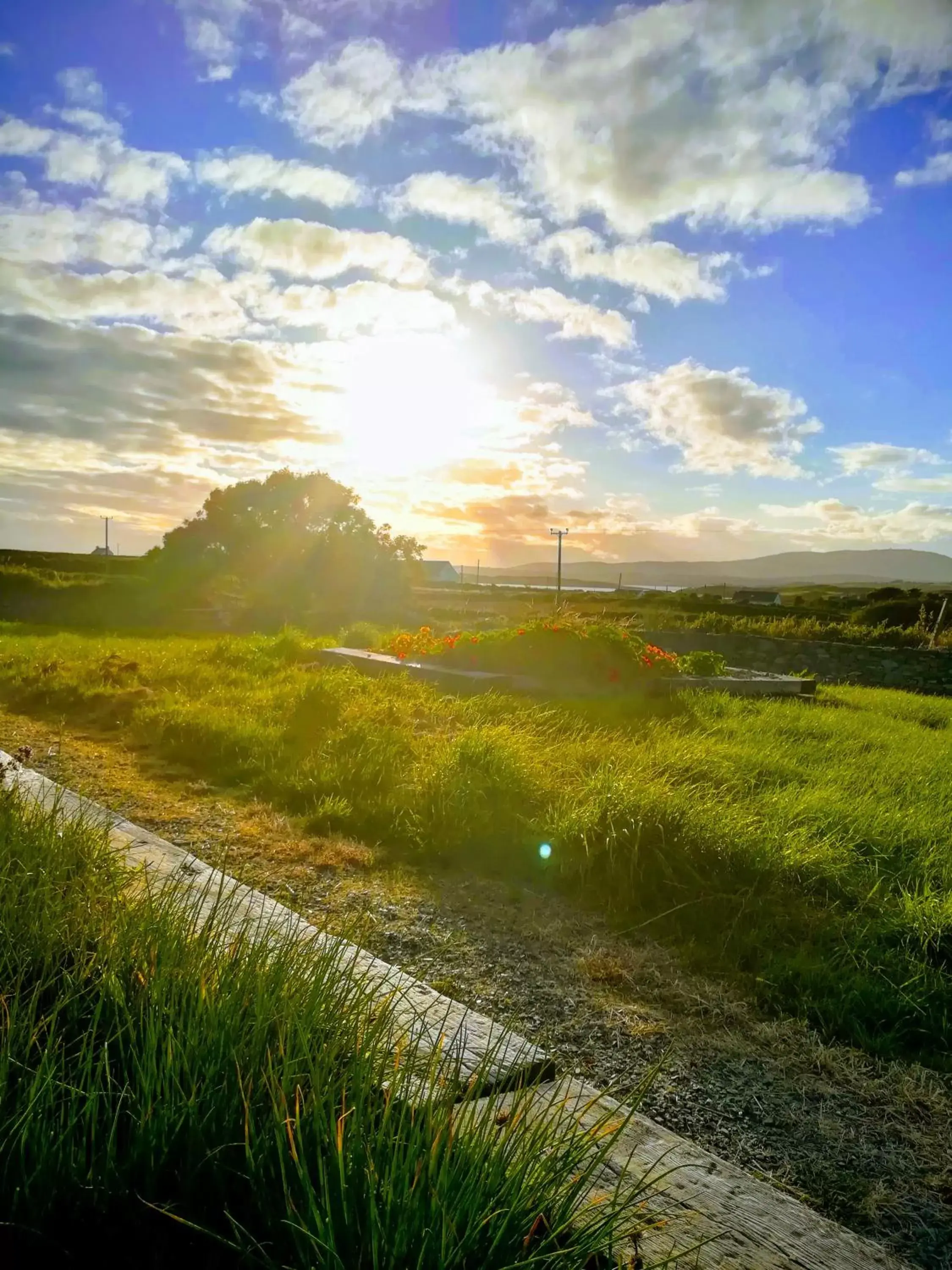 Natural landscape in Heir Island House