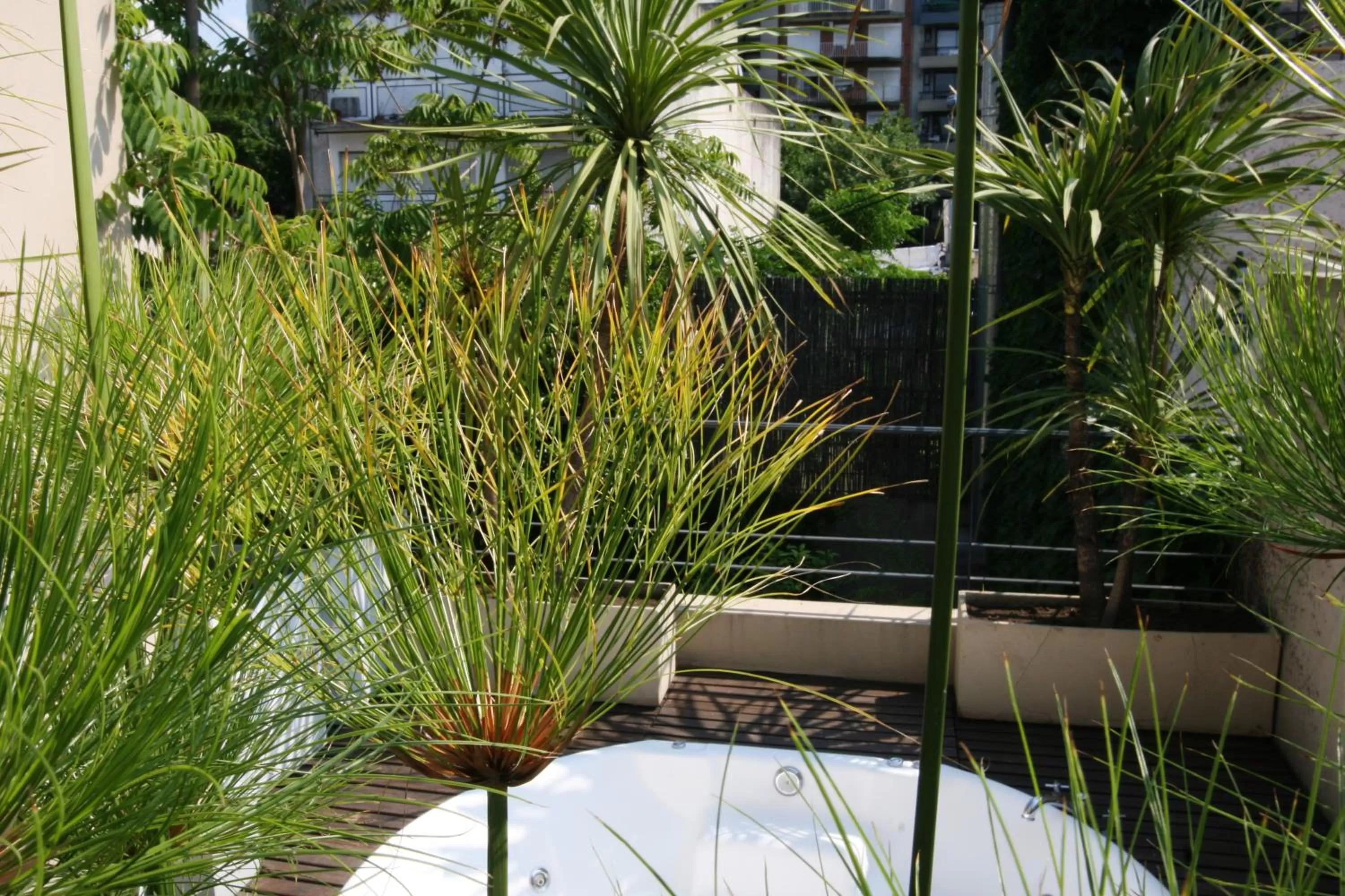 Solarium in 248 Finisterra