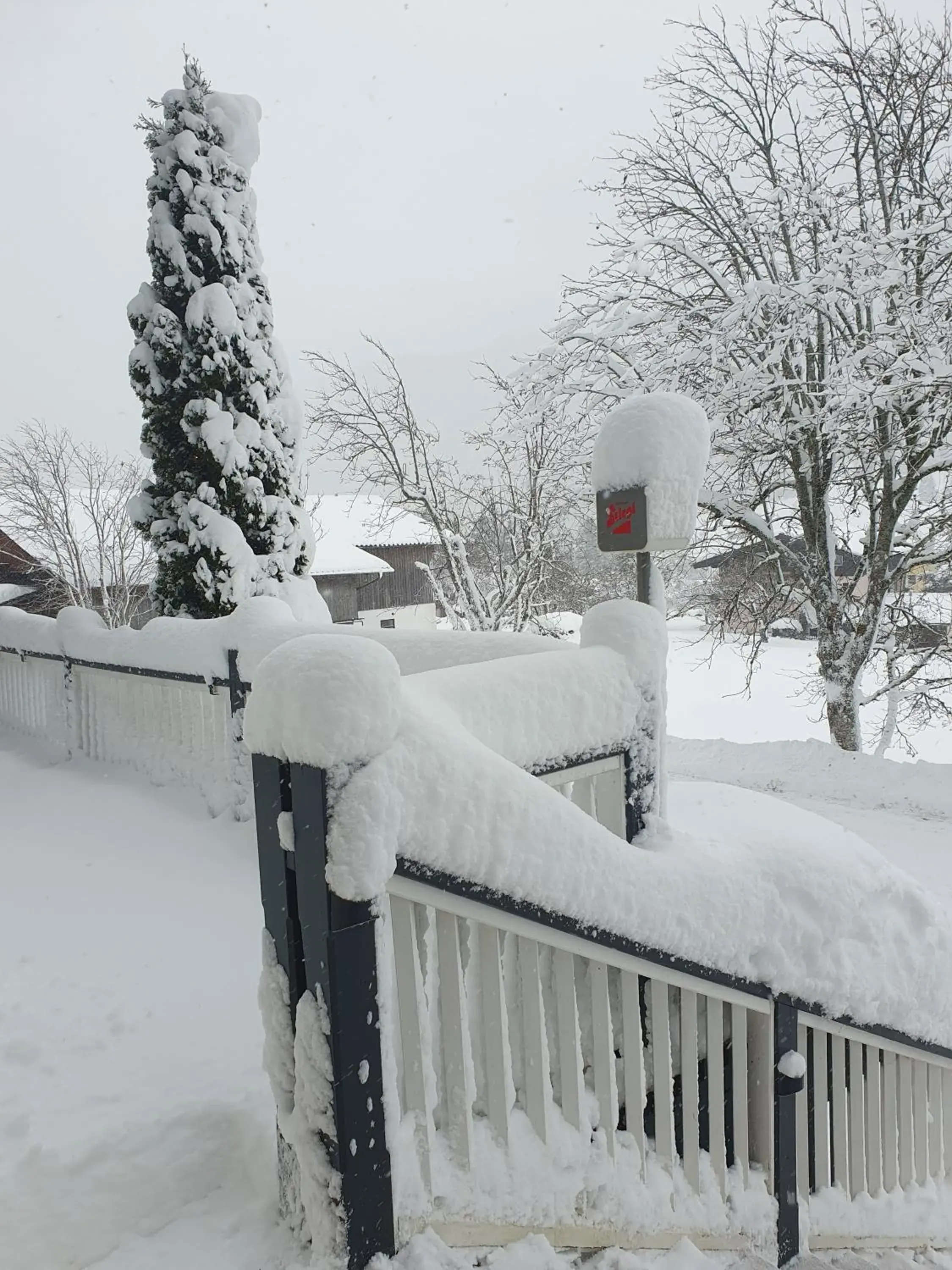 Winter in Alpenhof