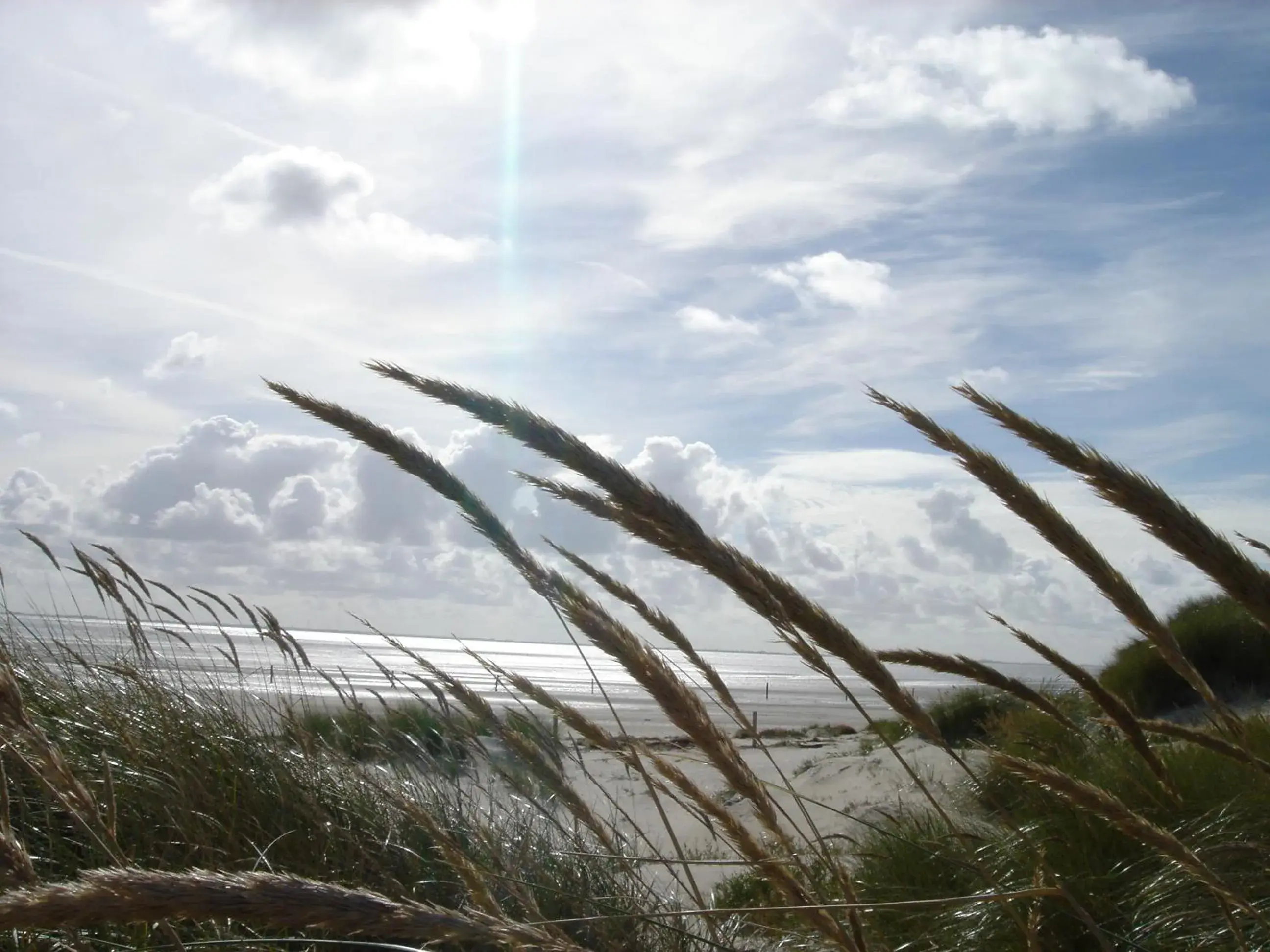 Beach in Logierhus Langeoog