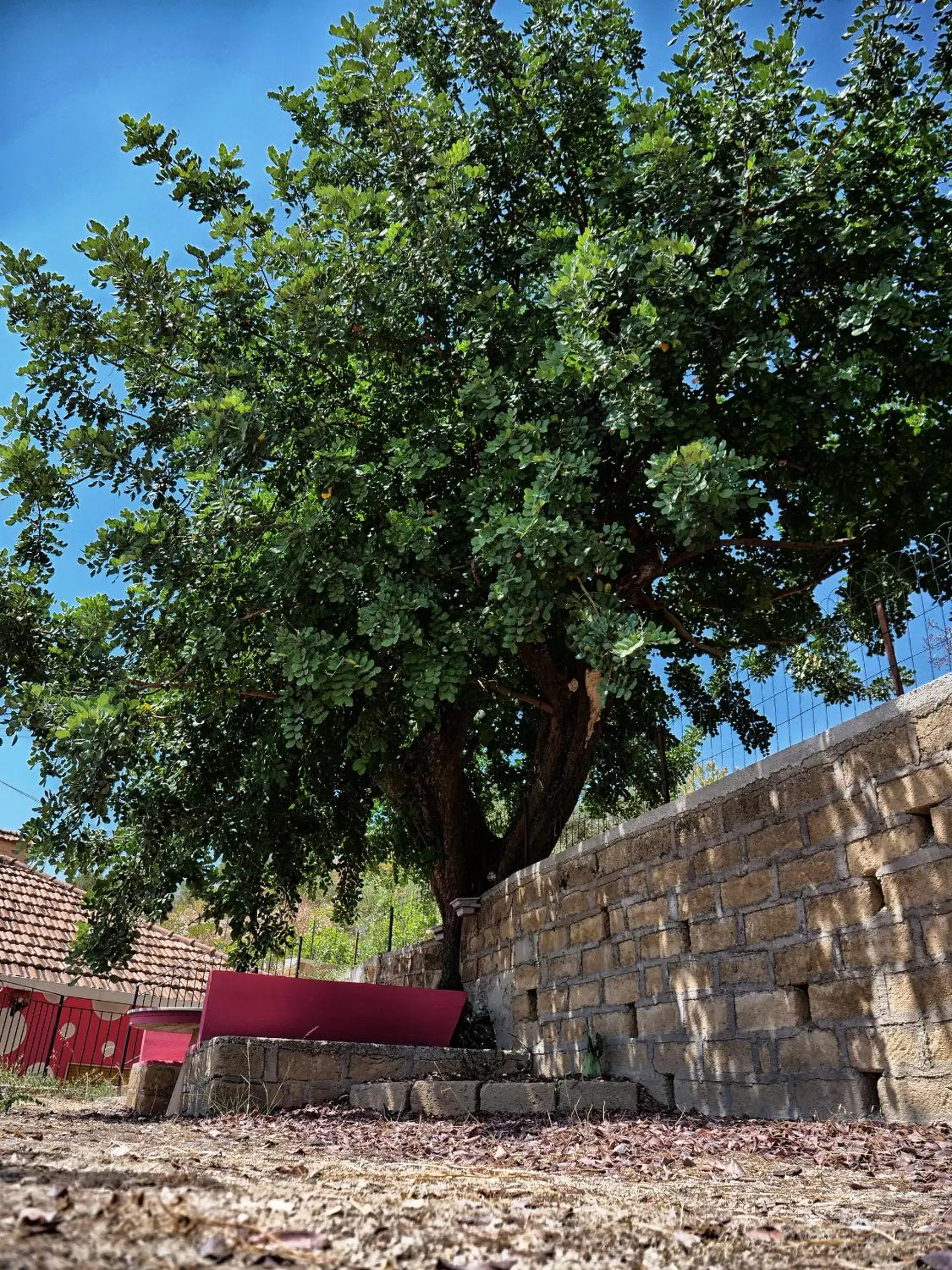 Garden in B&B Vento di Scirocco