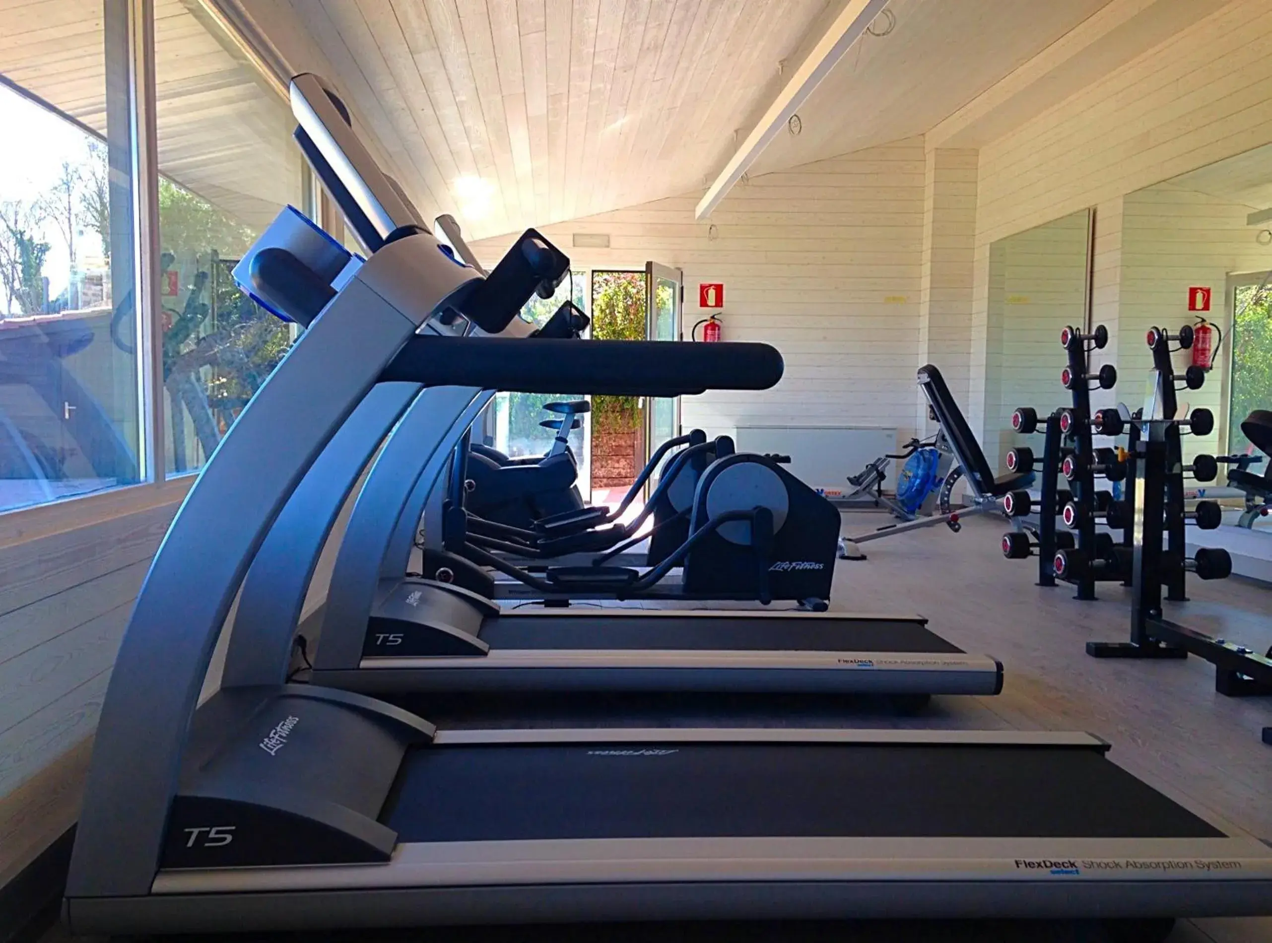 Fitness centre/facilities, Fitness Center/Facilities in Hotel Puig Francó - Adults Only